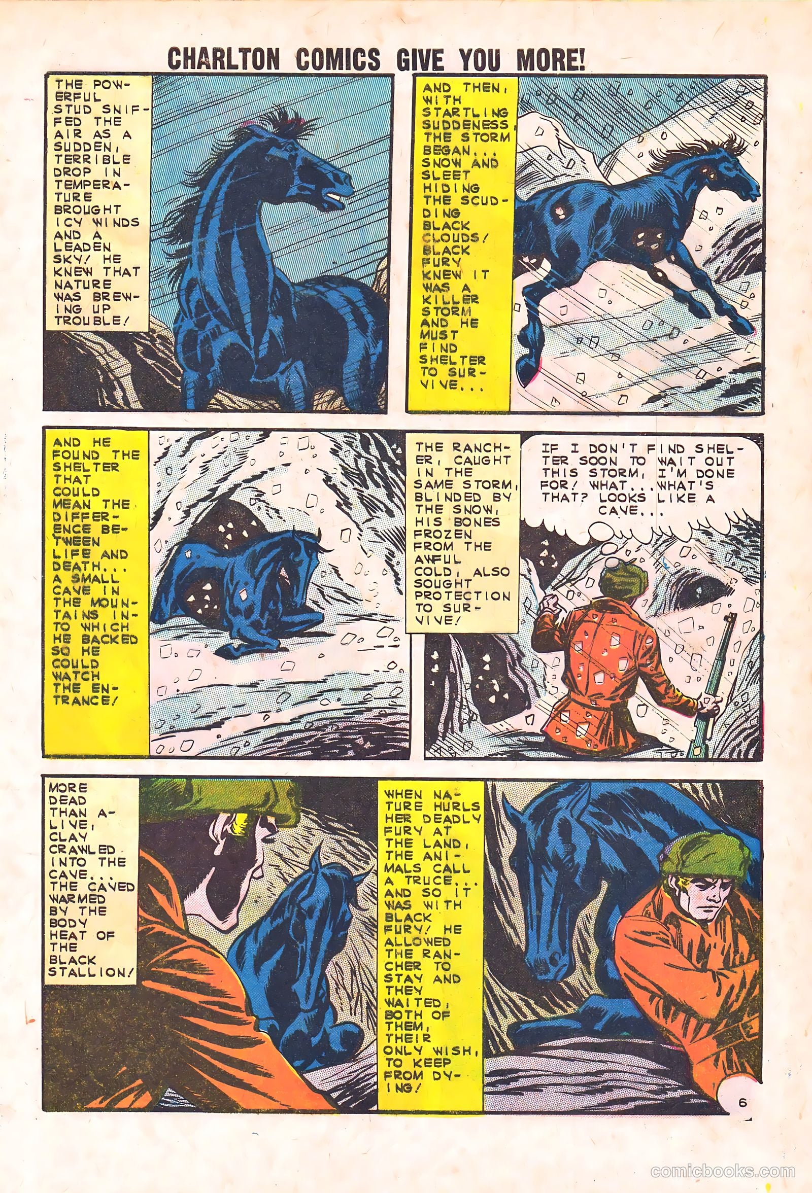 Black Fury #44 — page 9 of 36