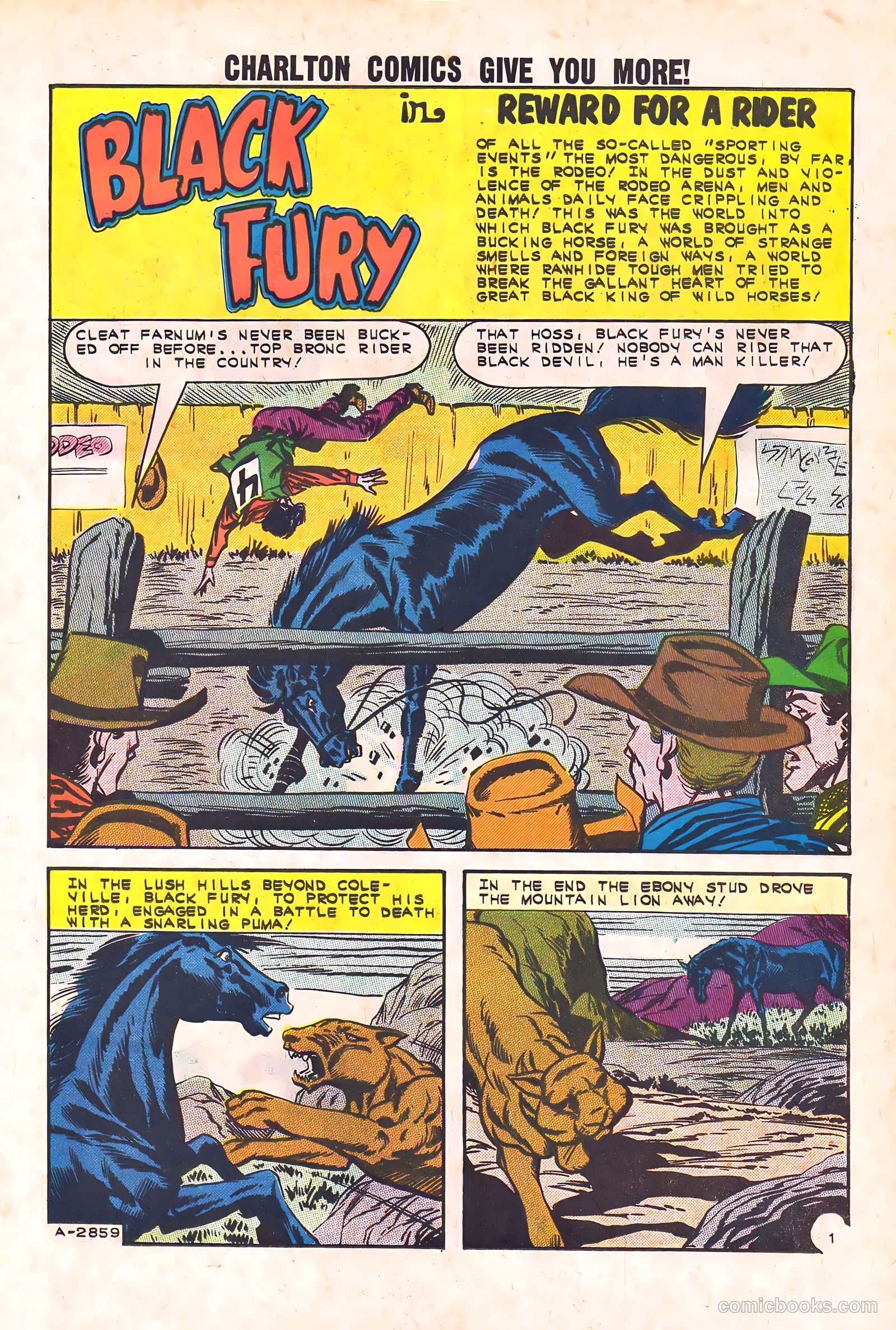 Black Fury #44 — page 11 of 36