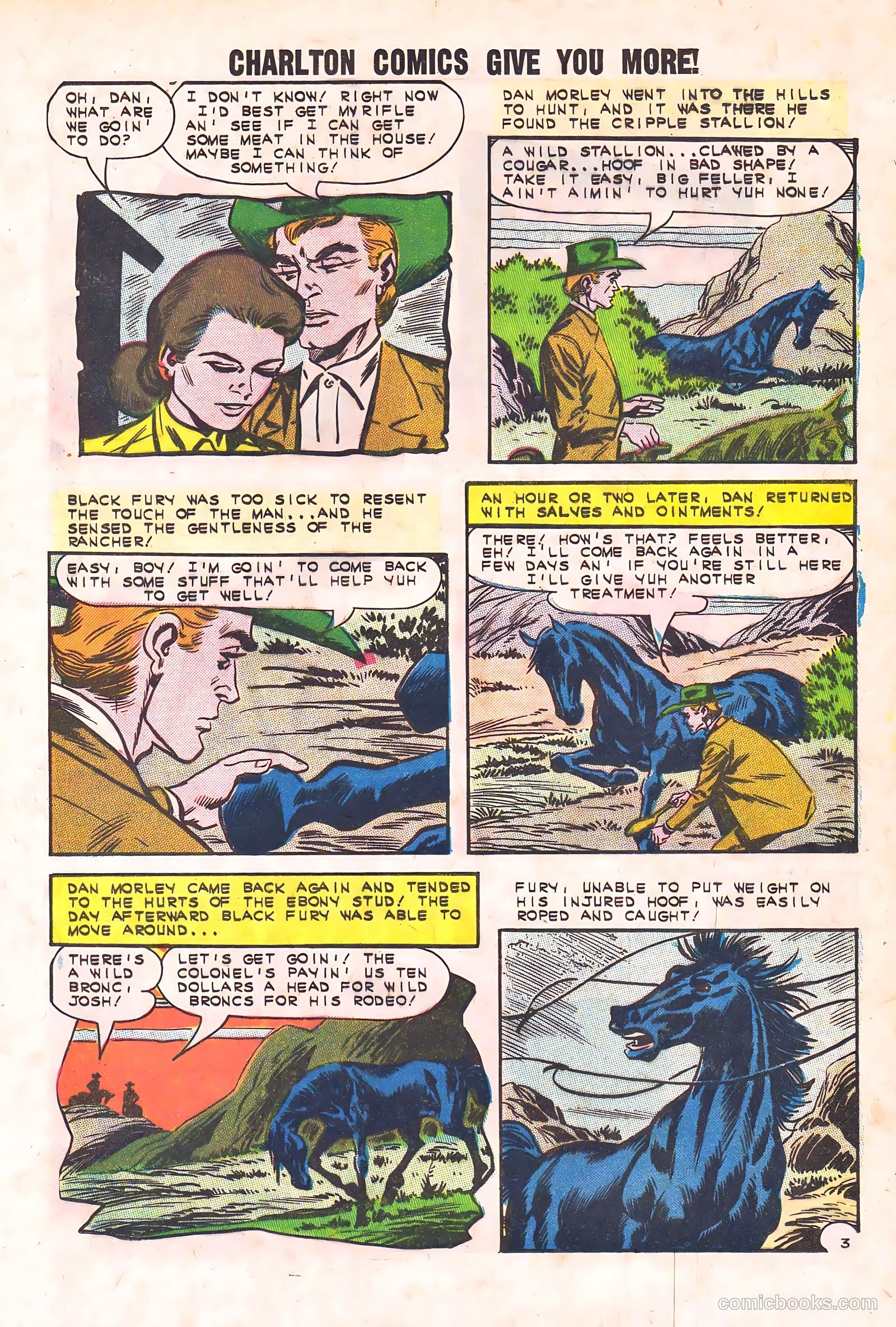 Black Fury #44 — page 13 of 36