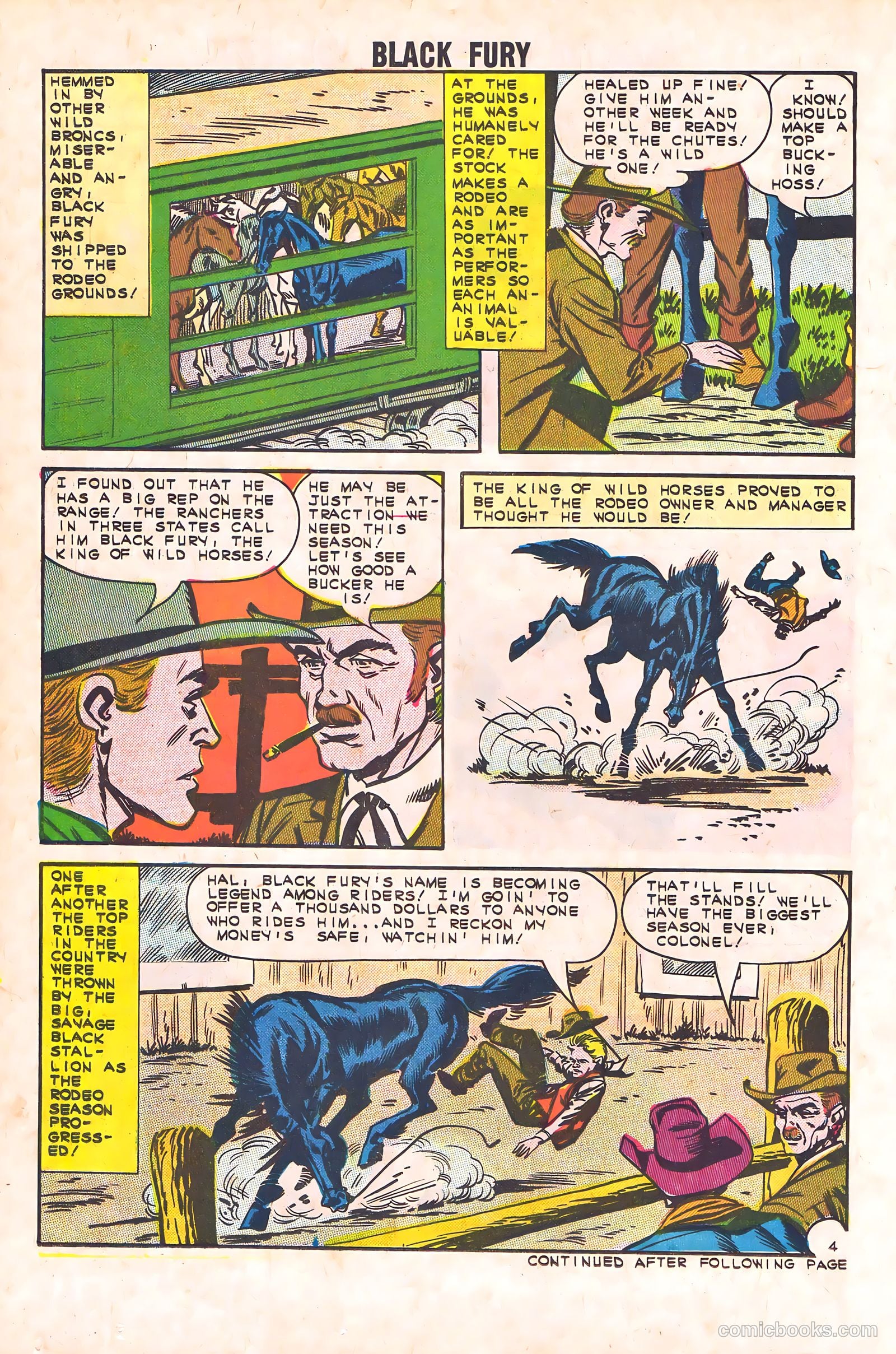 Black Fury #44 — page 14 of 36