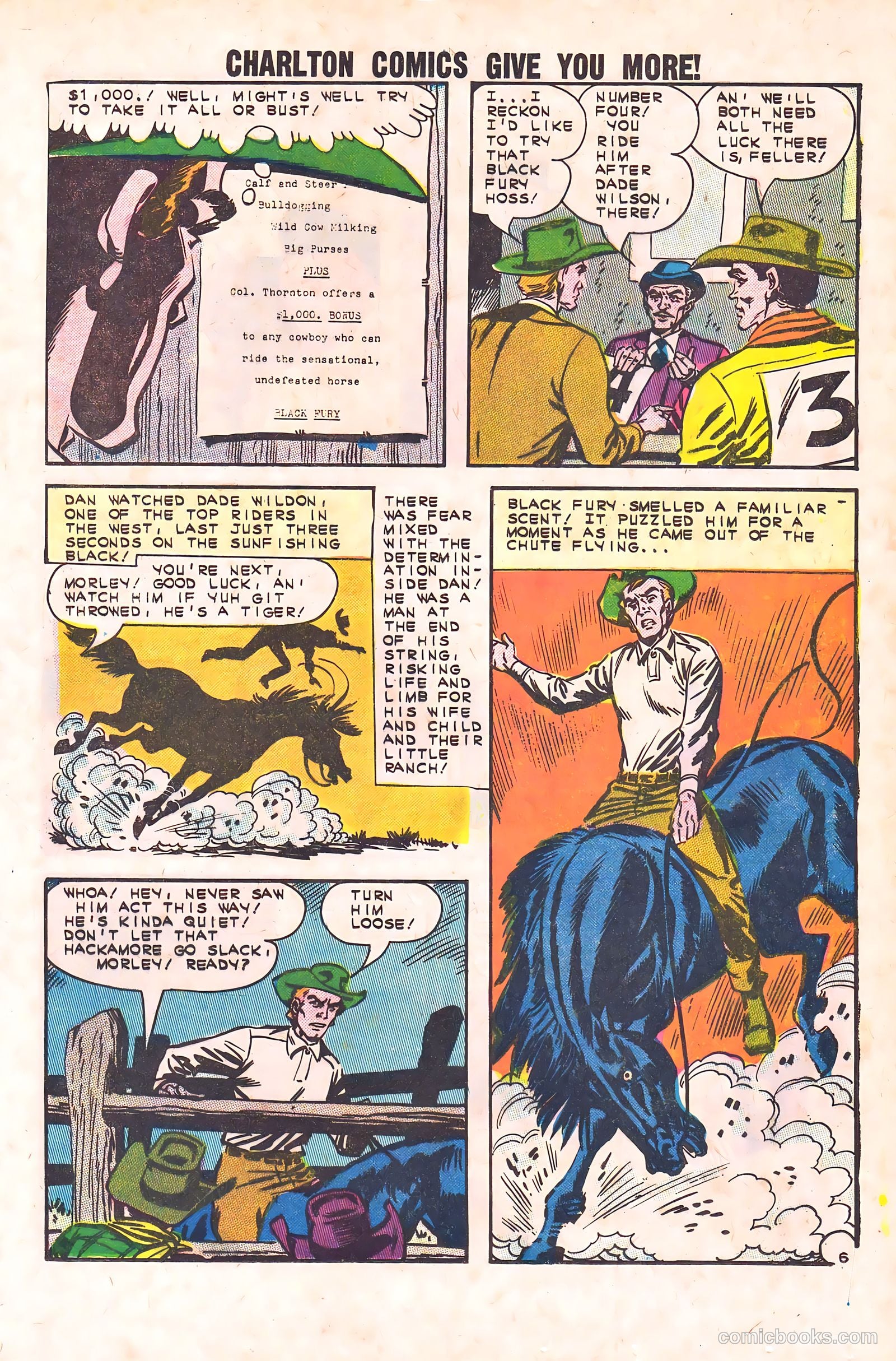 Black Fury #44 — page 17 of 36