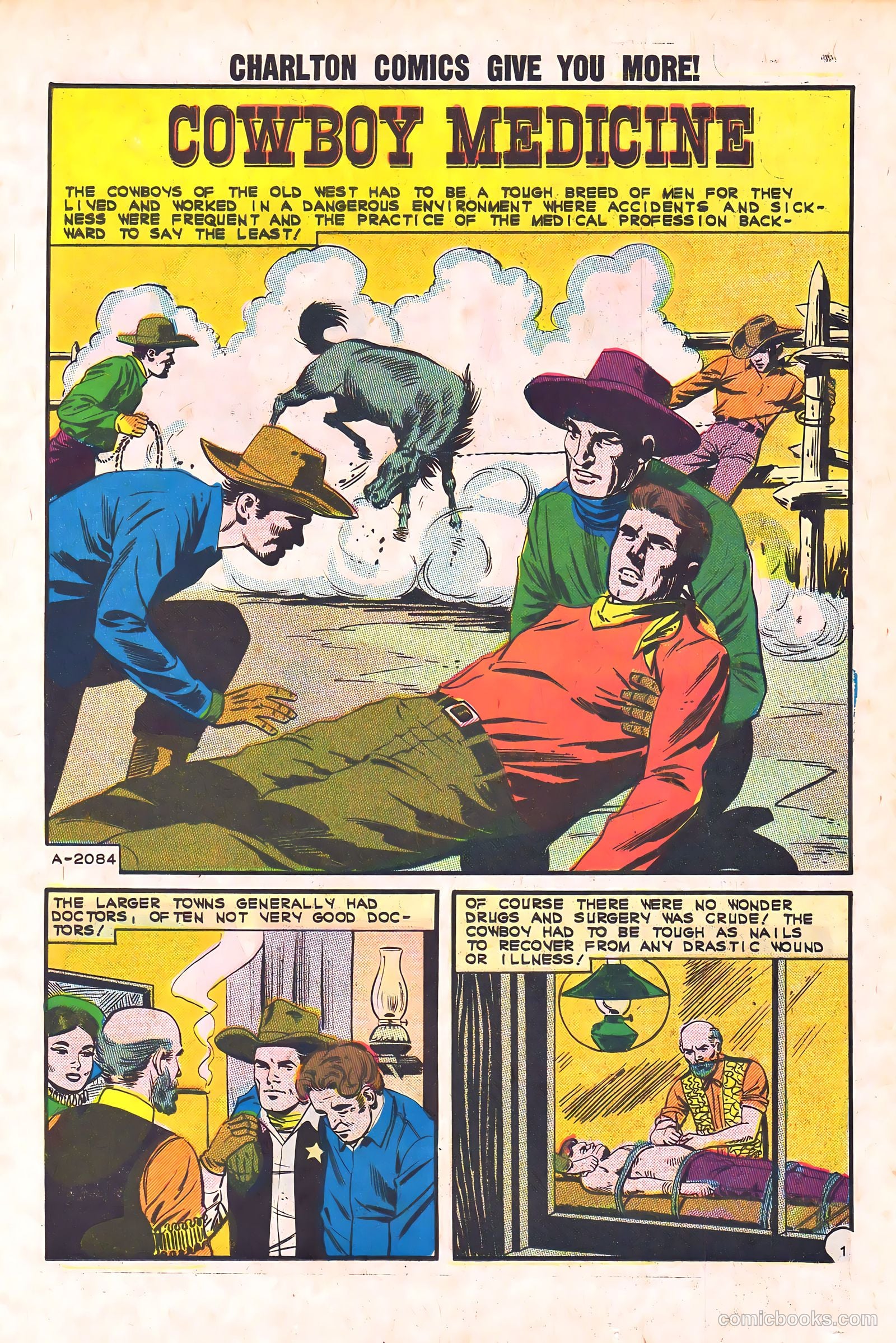 Black Fury #44 — page 23 of 36