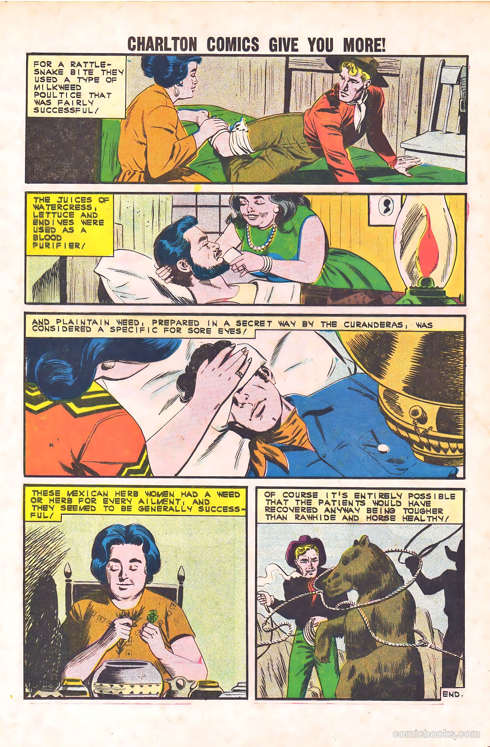 Black Fury #44 — page 25 of 36