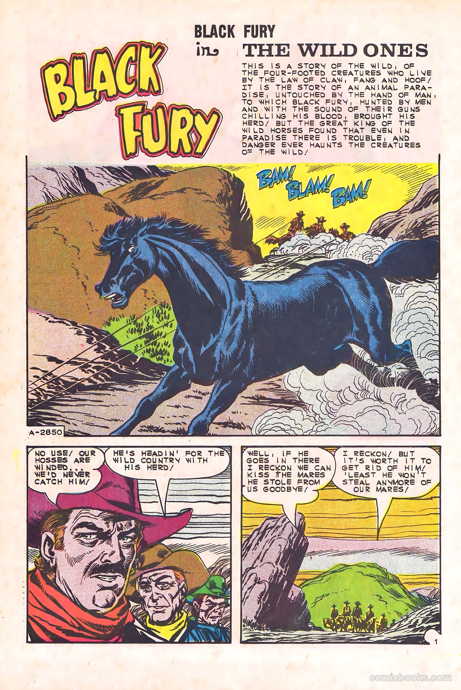 Black Fury #44 — page 26 of 36