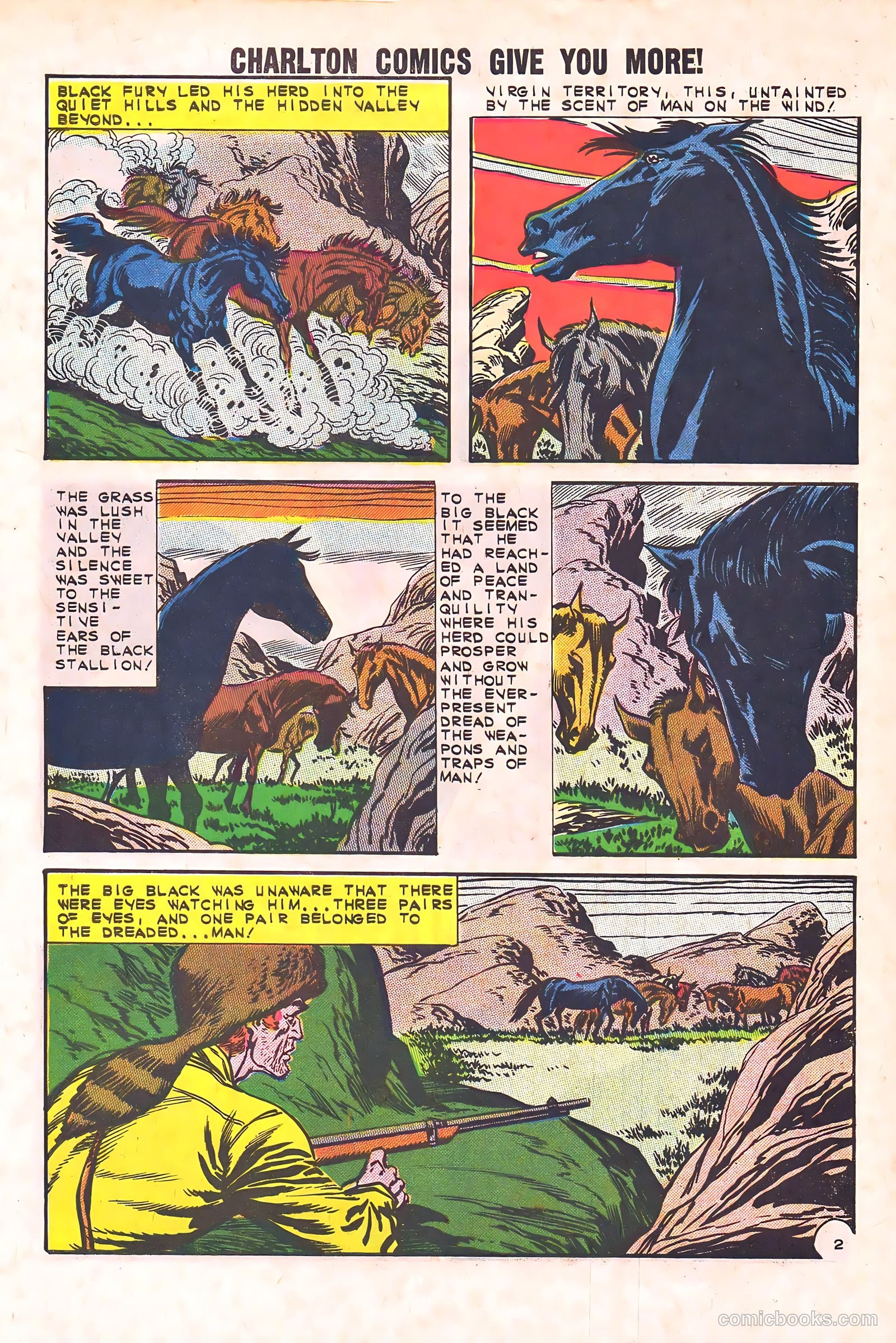 Black Fury #44 — page 27 of 36