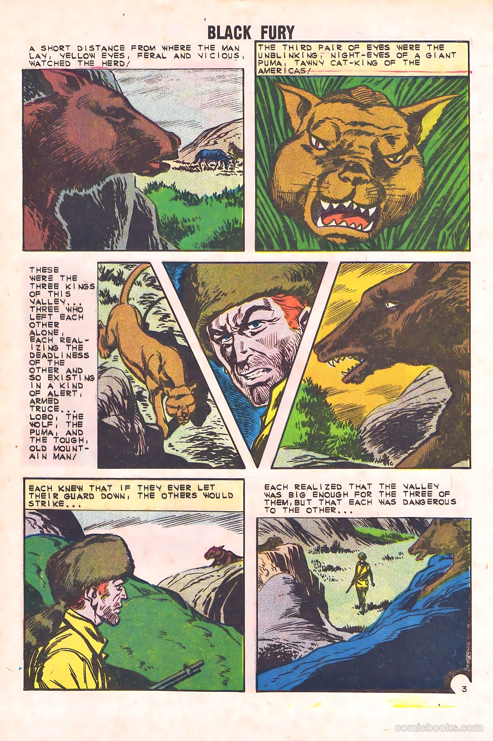 Black Fury #44 — page 28 of 36