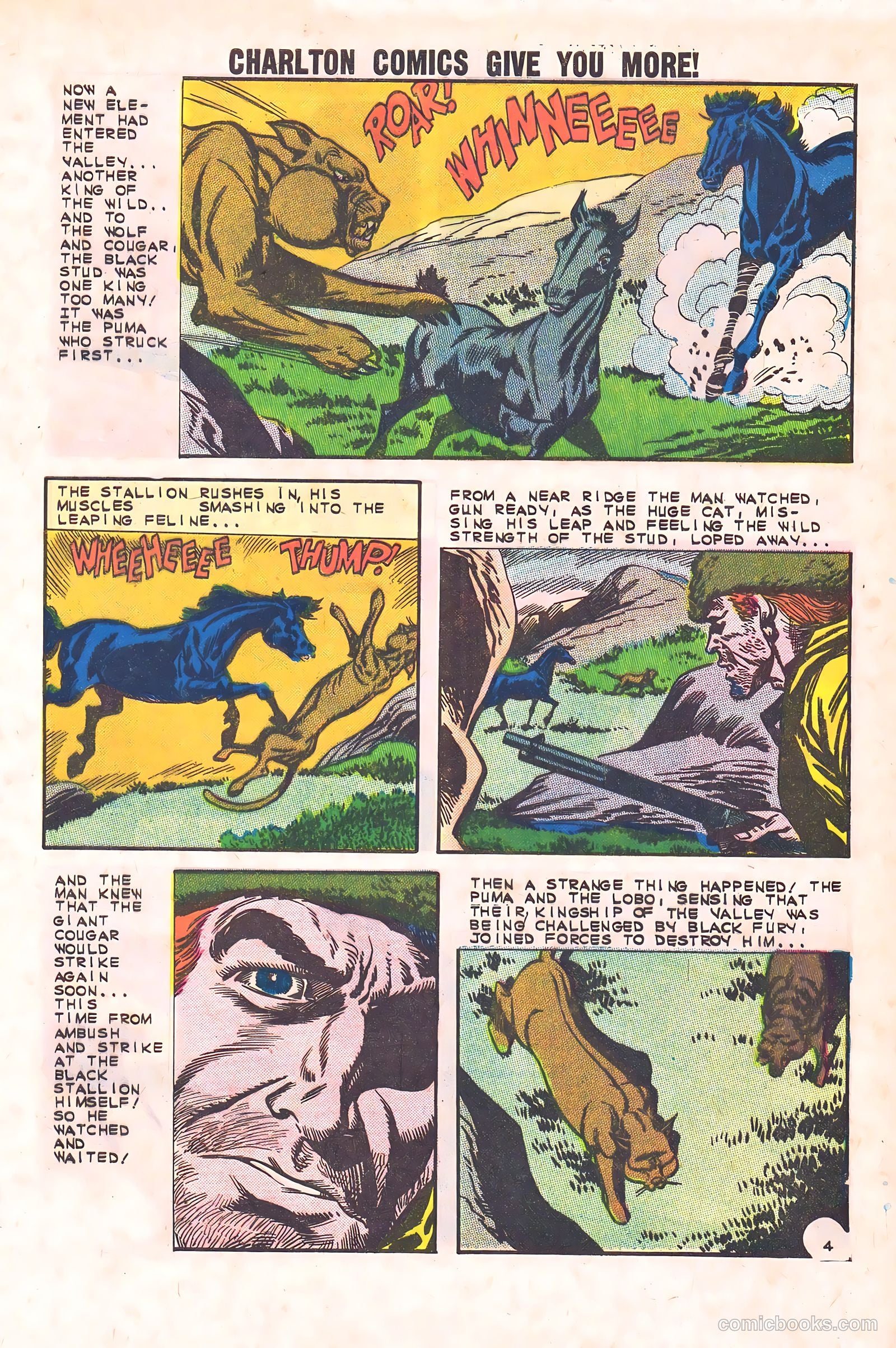 Black Fury #44 — page 29 of 36