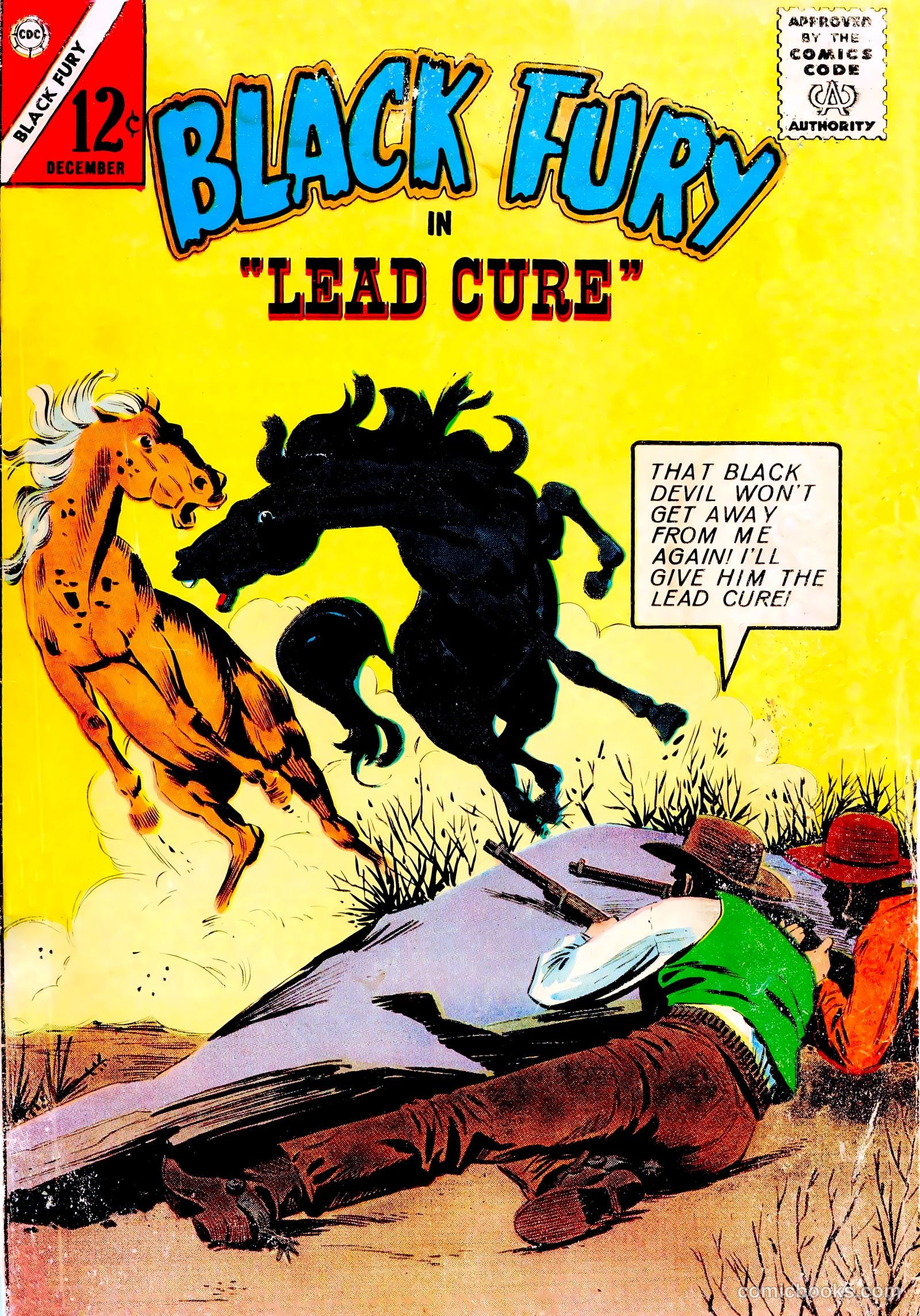 Black Fury #45 — page 1 of 36