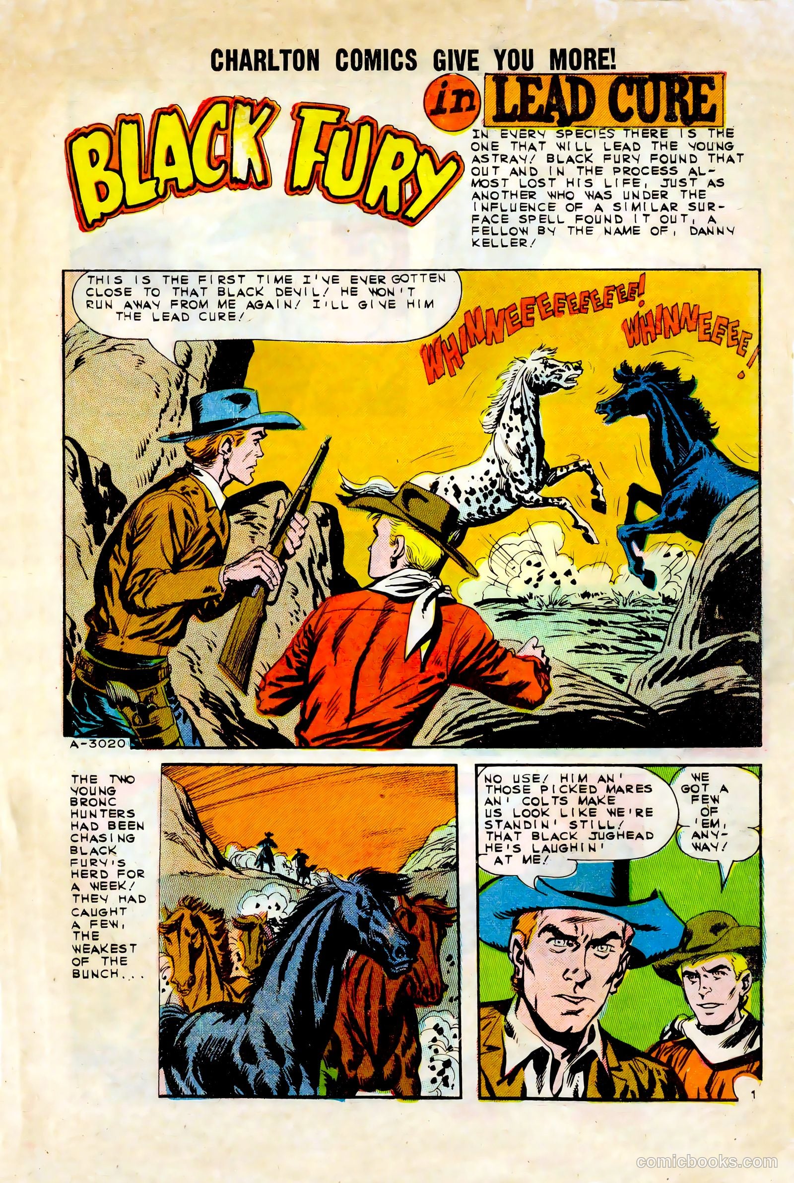 Black Fury #45 — page 3 of 36