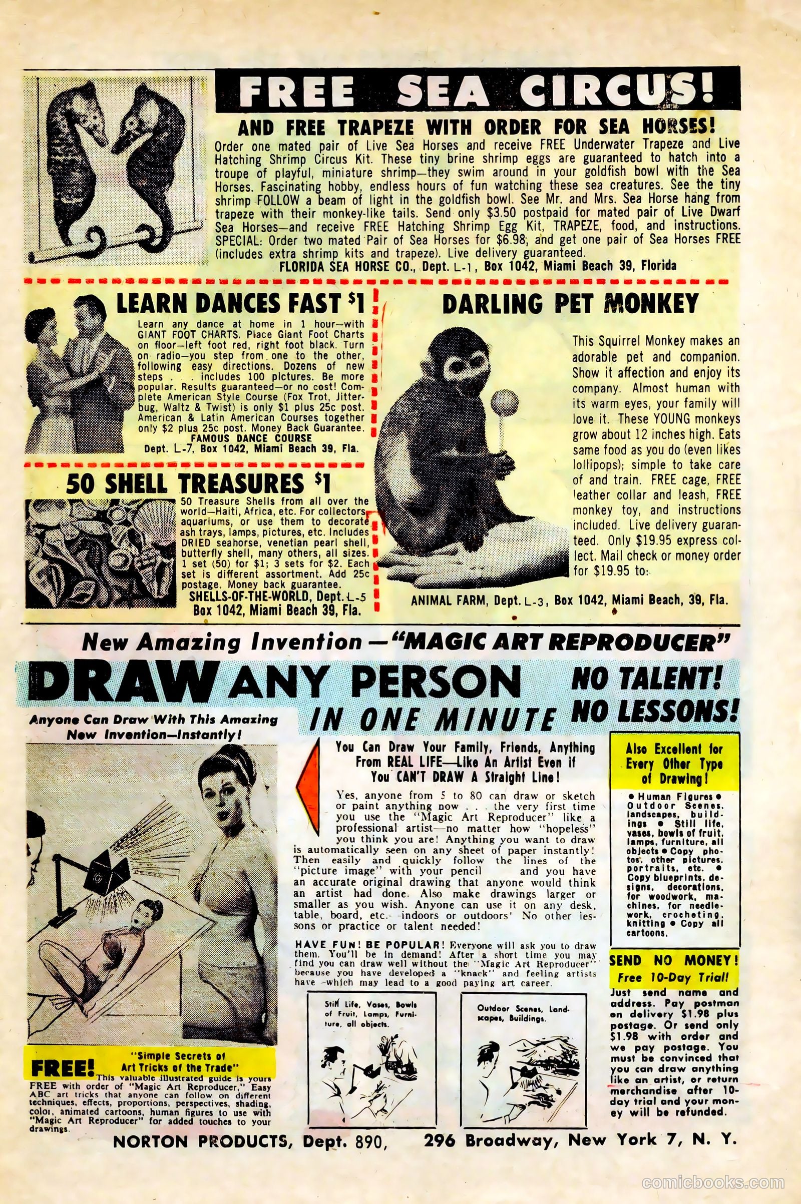 Black Fury #45 — page 6 of 36
