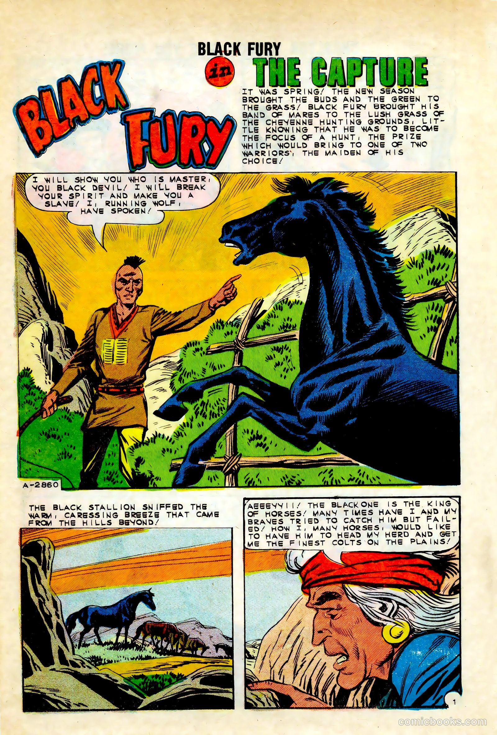 Black Fury #45 — page 10 of 36
