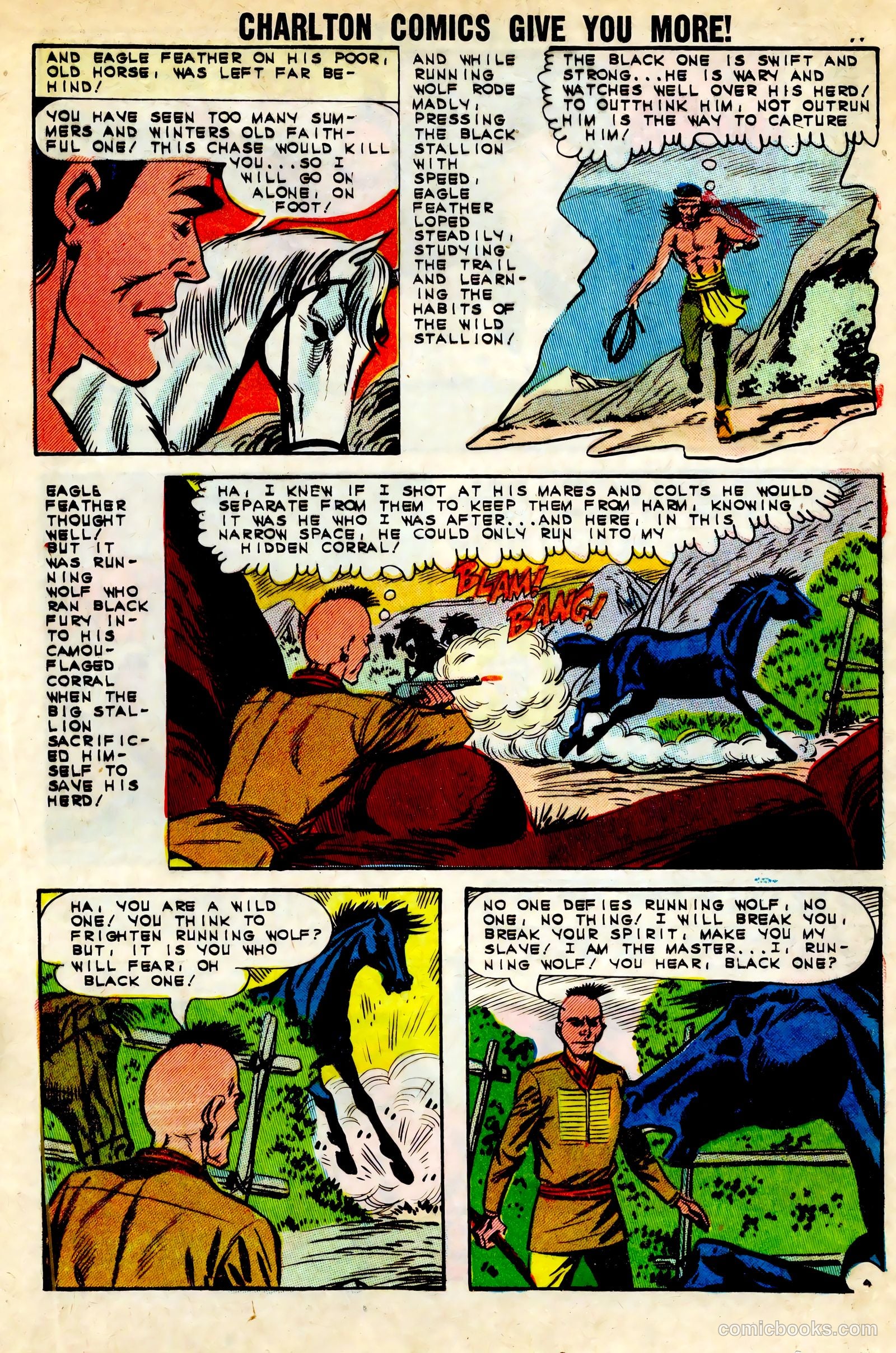 Black Fury #45 — page 13 of 36