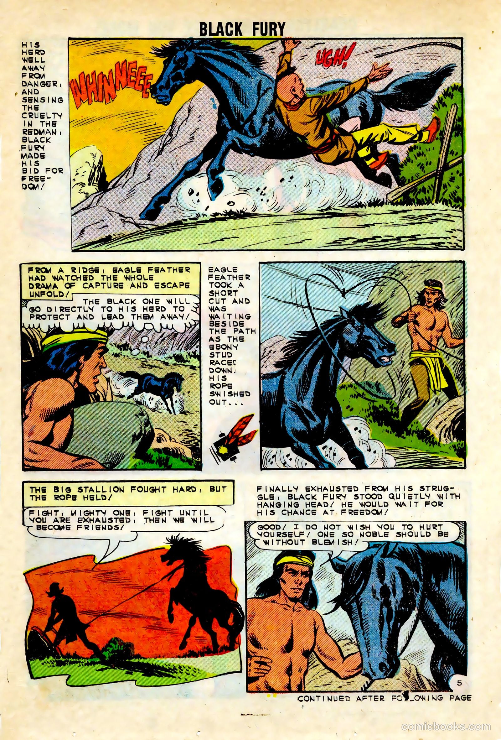 Black Fury #45 — page 14 of 36