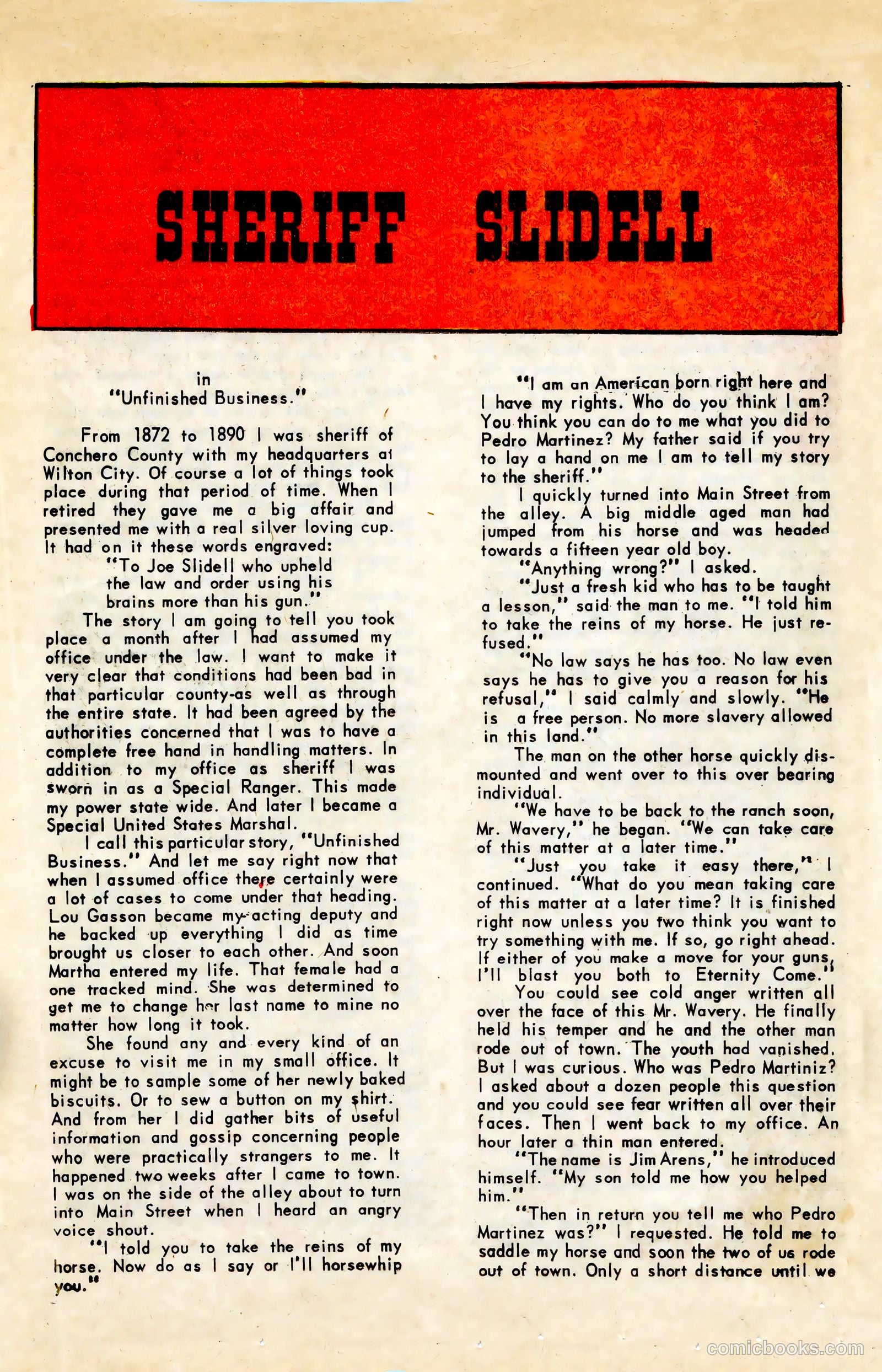 Black Fury #45 — page 17 of 36