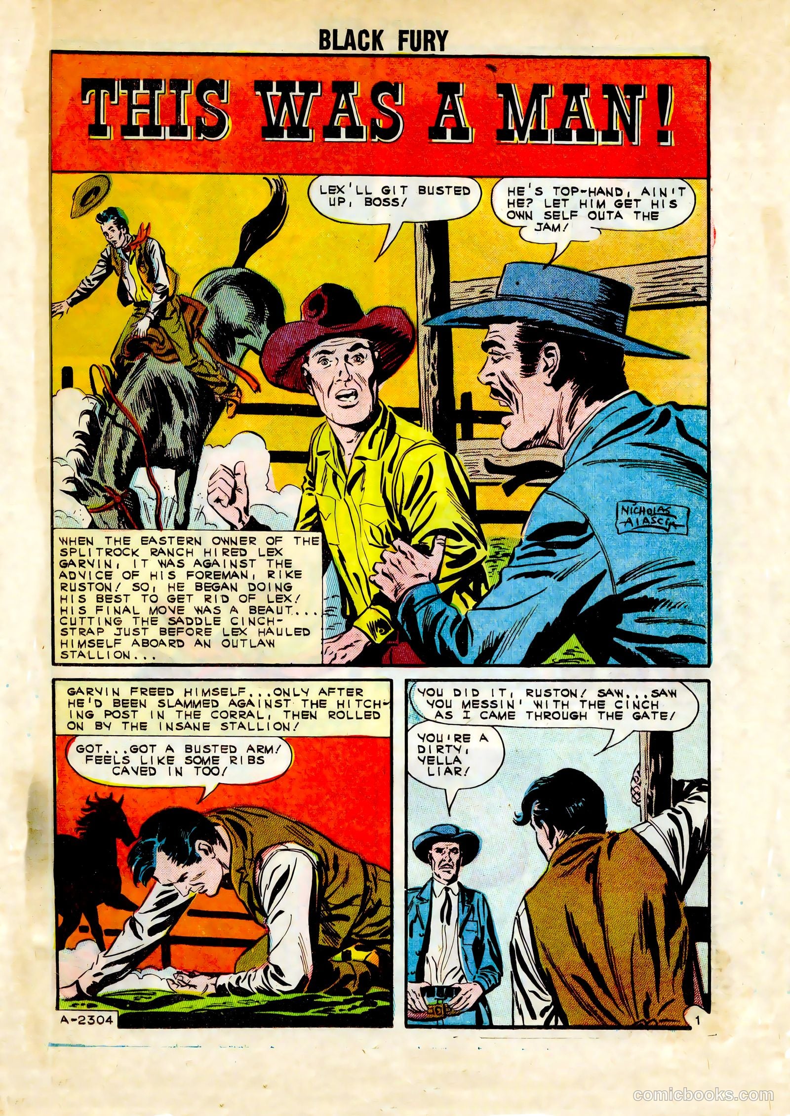 Black Fury #45 — page 19 of 36