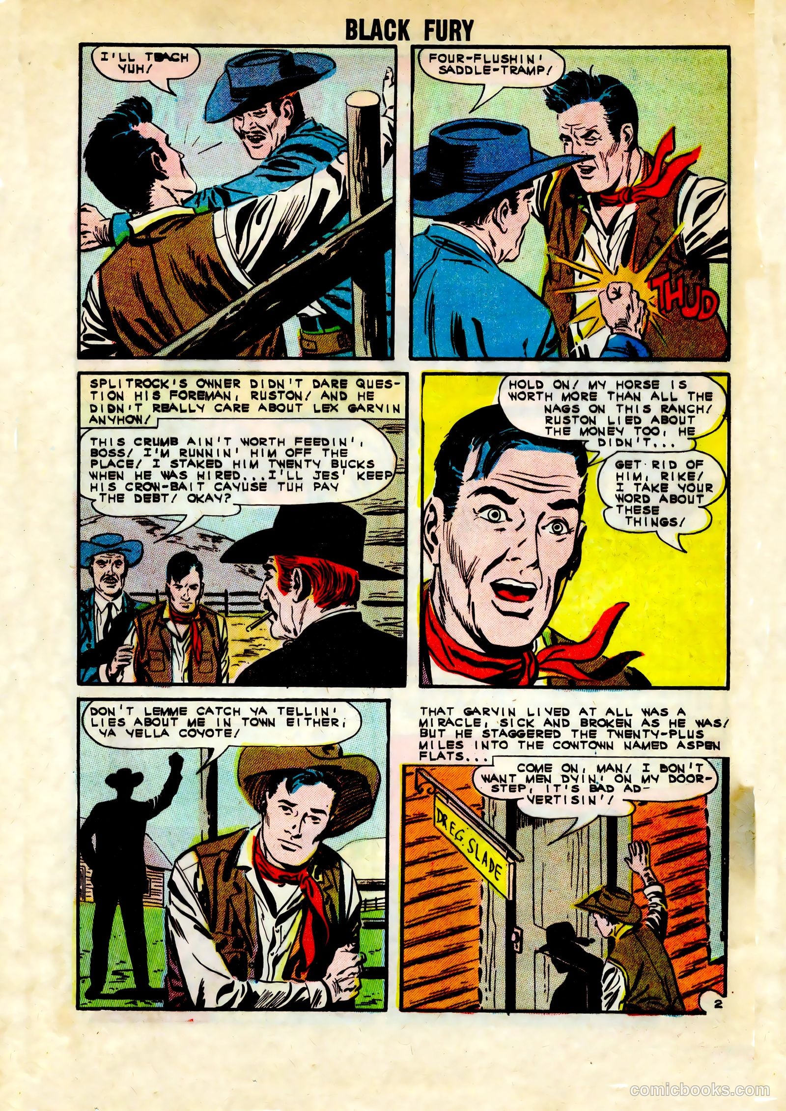 Black Fury #45 — page 20 of 36
