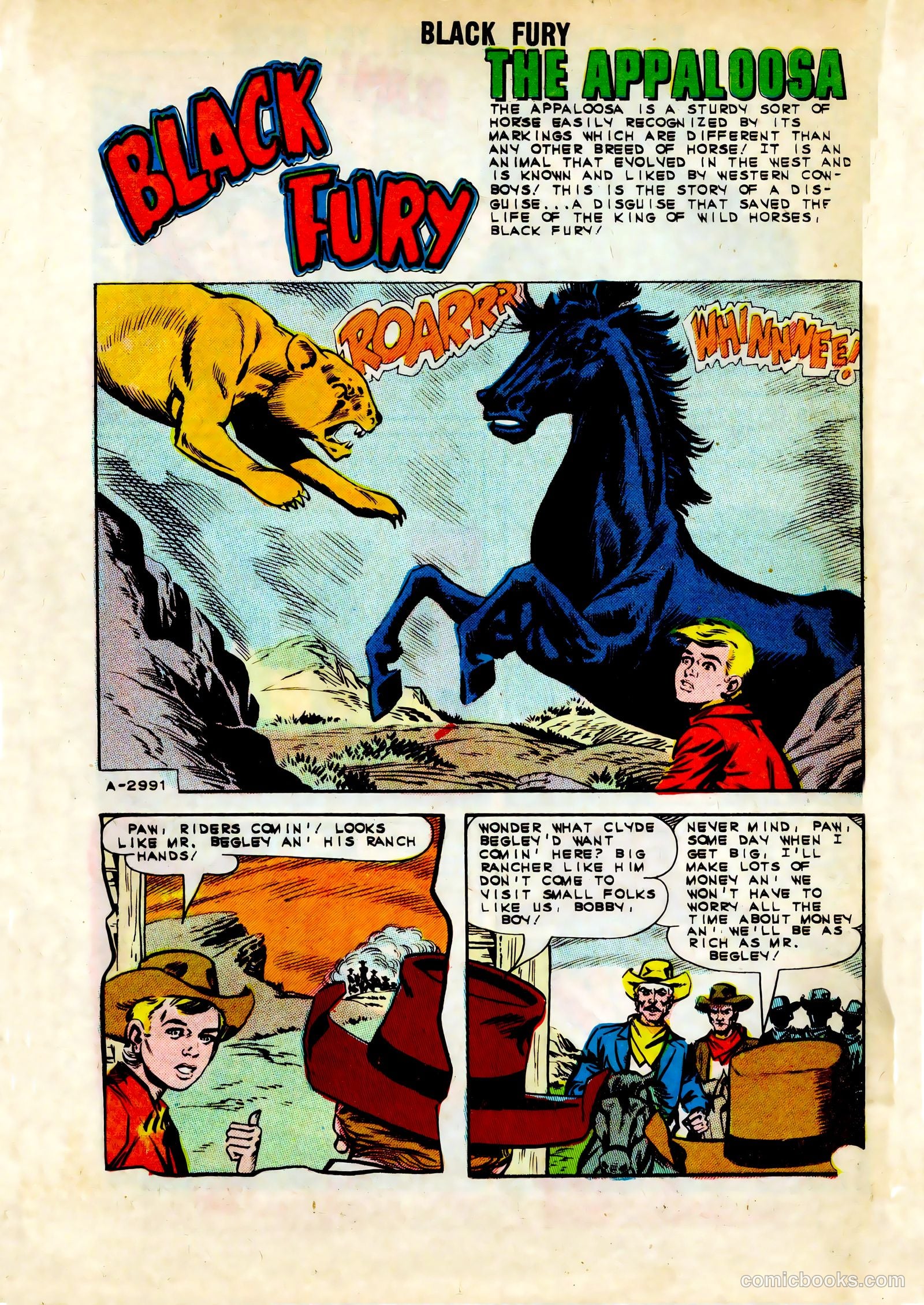Black Fury #45 — page 26 of 36