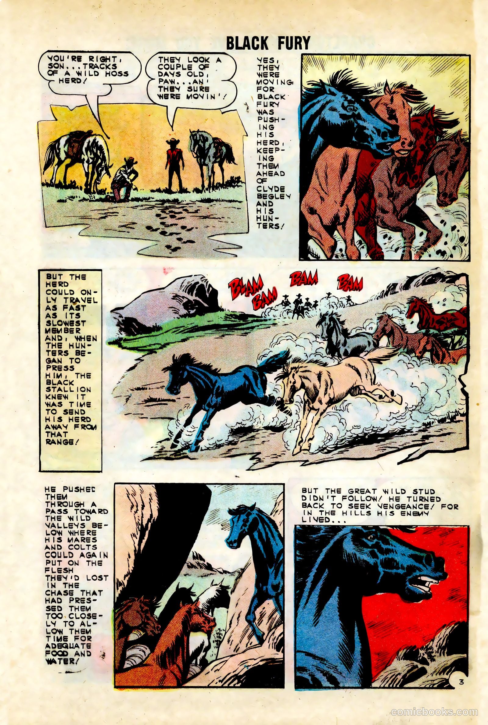 Black Fury #45 — page 28 of 36