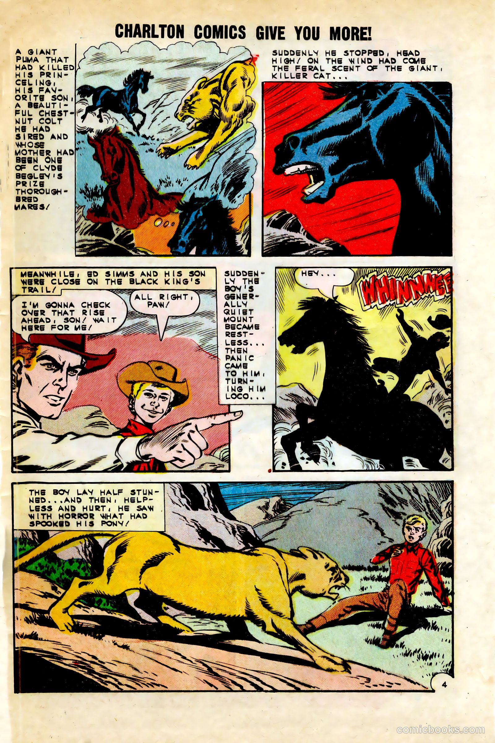 Black Fury #45 — page 29 of 36