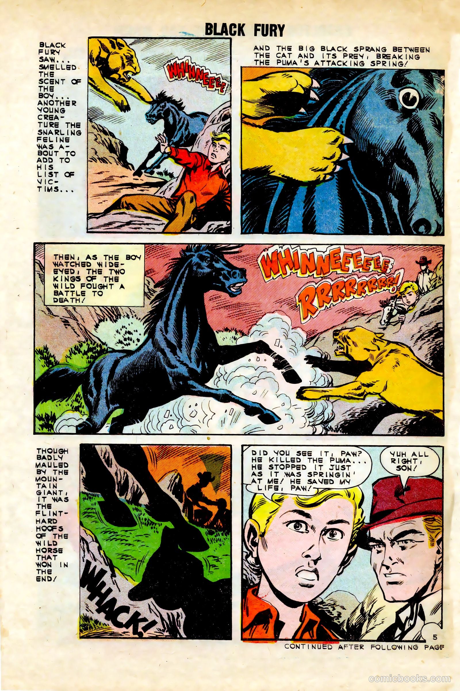 Black Fury #45 — page 30 of 36