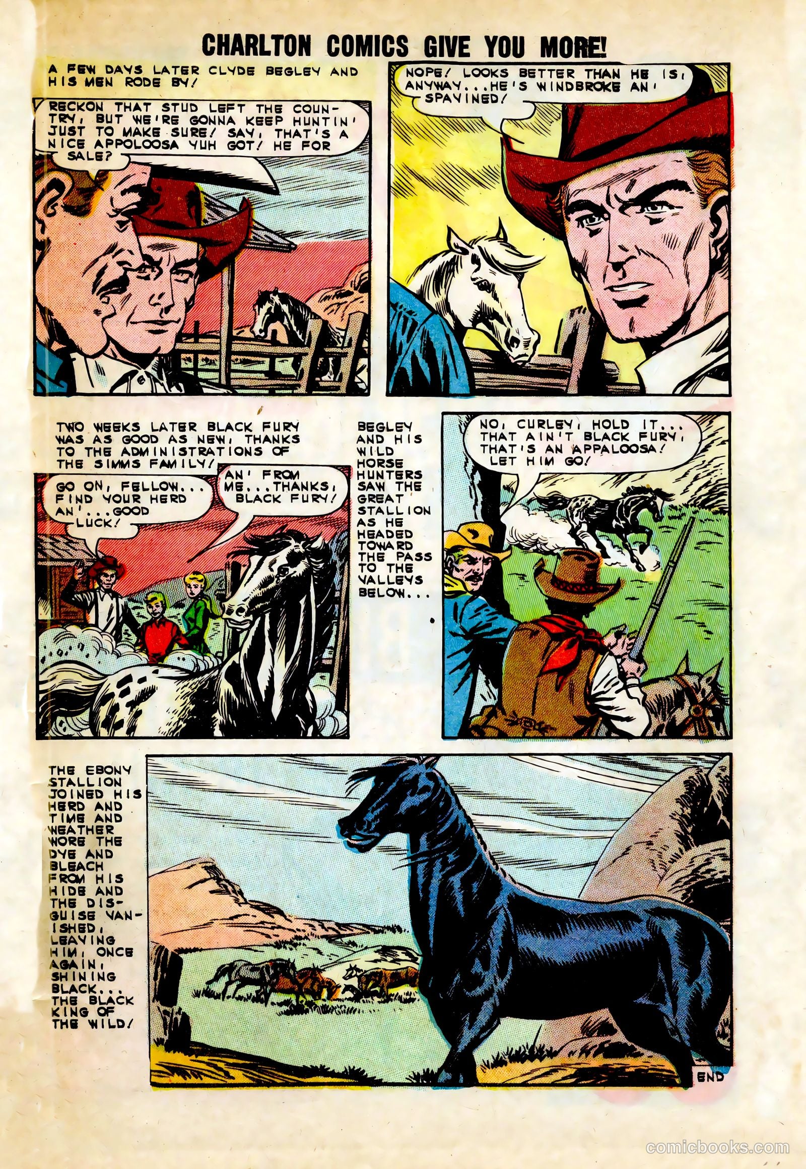 Black Fury #45 — page 33 of 36