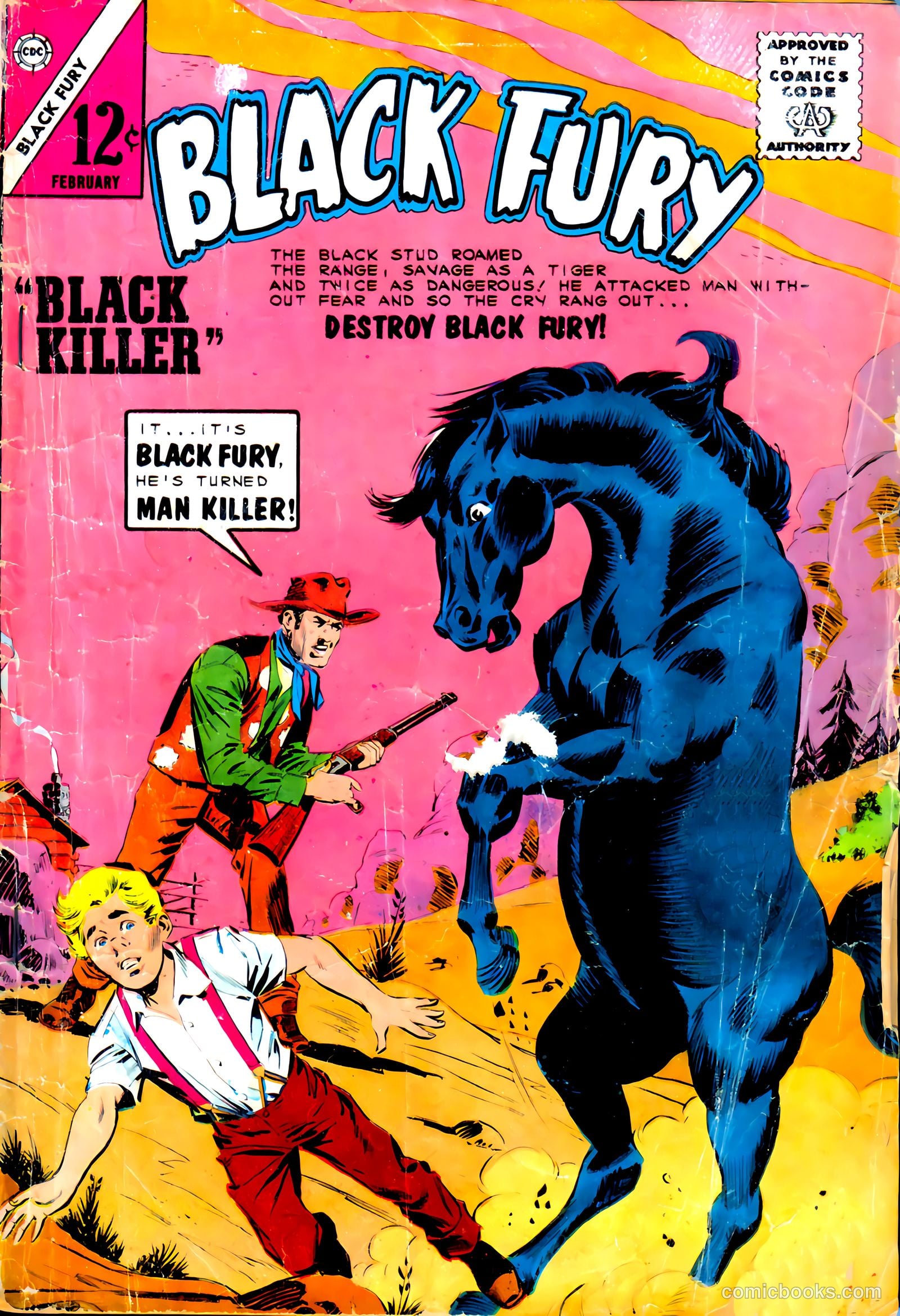 Black Fury #46 — page 1 of 37