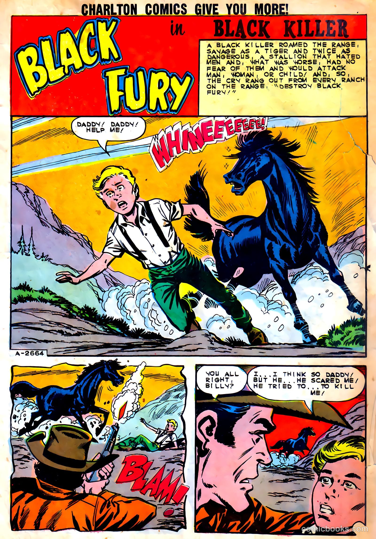 Black Fury #46 — page 3 of 37