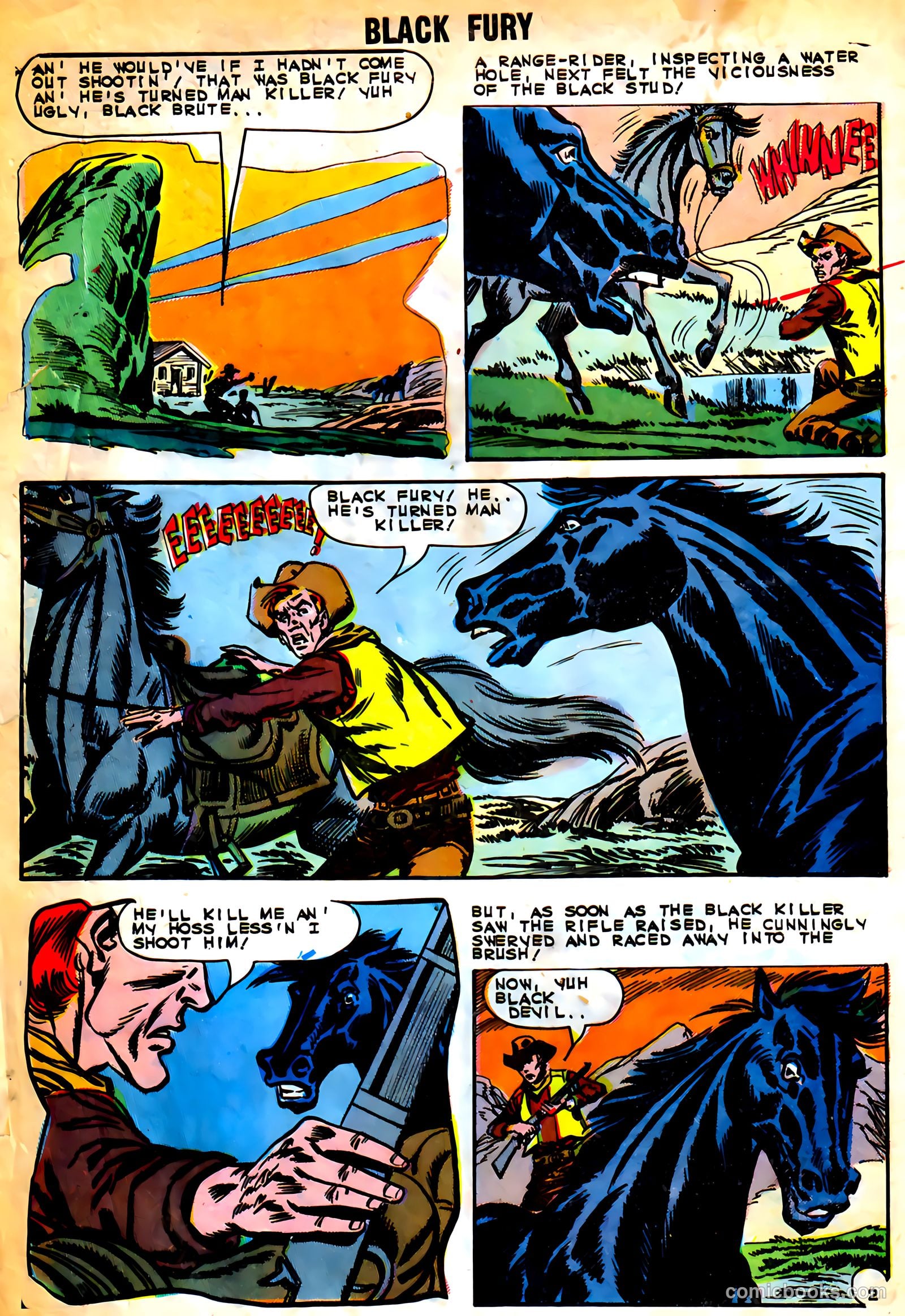 Black Fury #46 — page 4 of 37