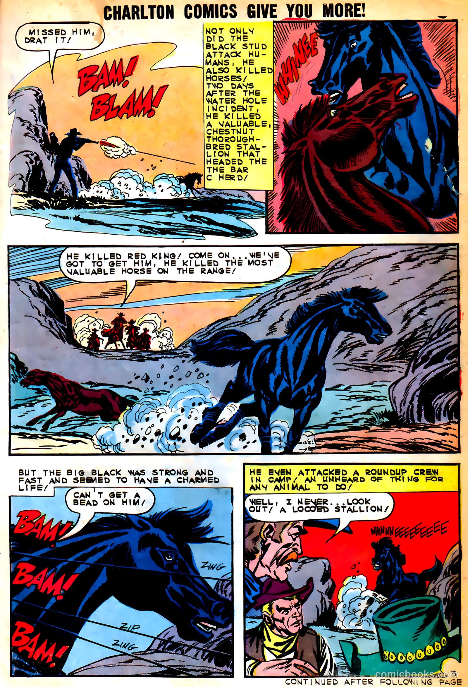 Black Fury #46 — page 5 of 37