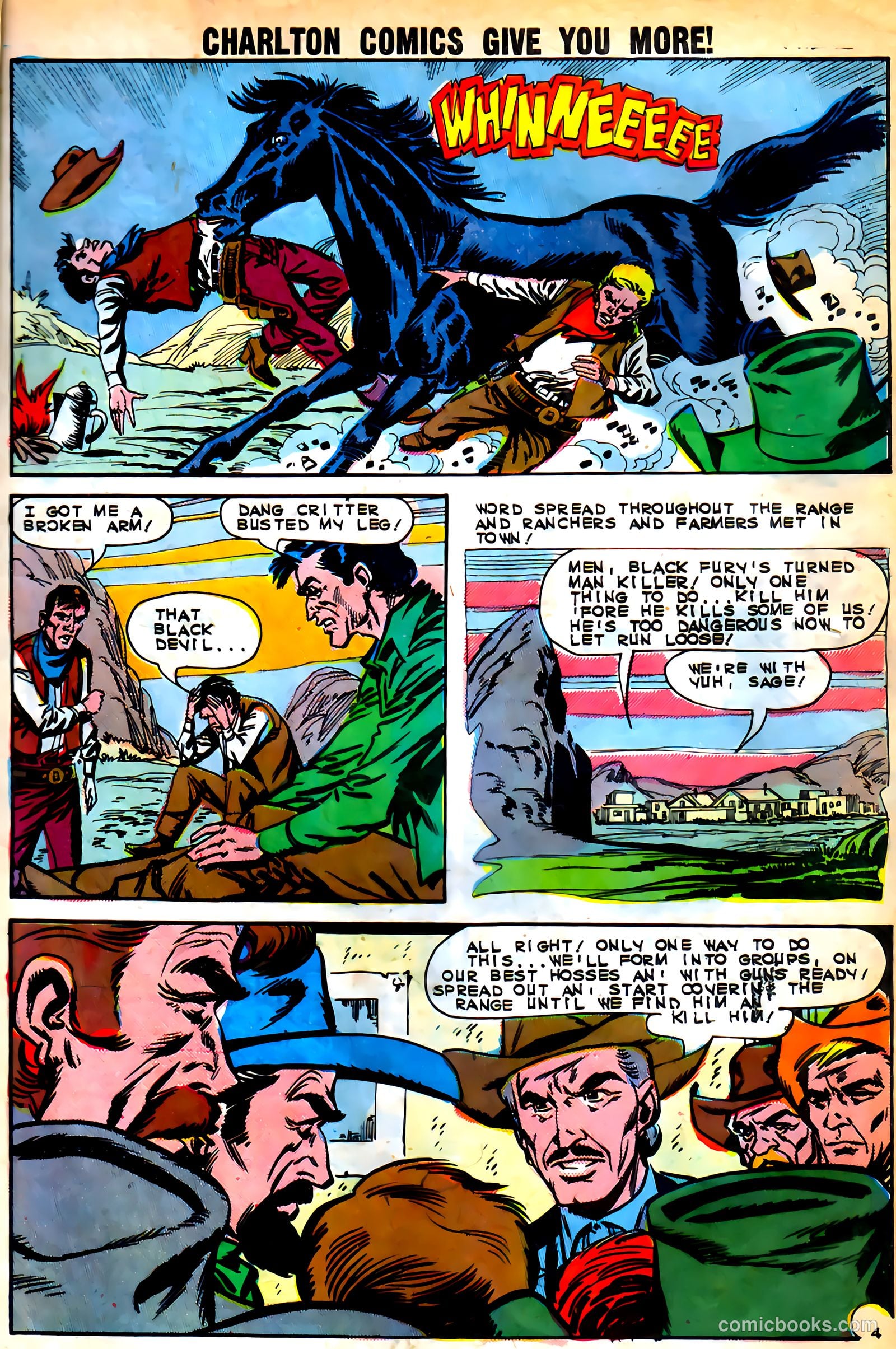 Black Fury #46 — page 7 of 37