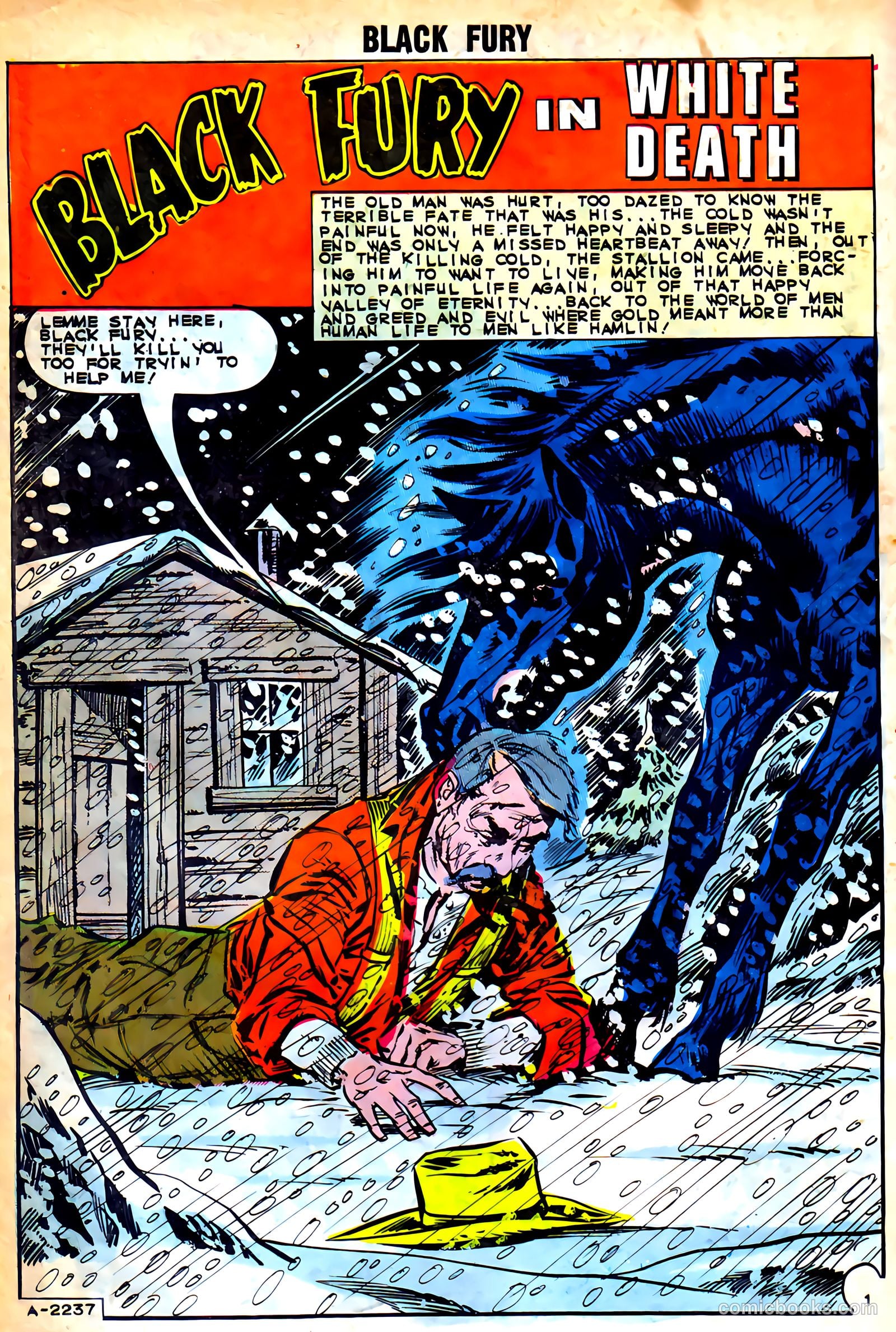 Black Fury #46 — page 10 of 37