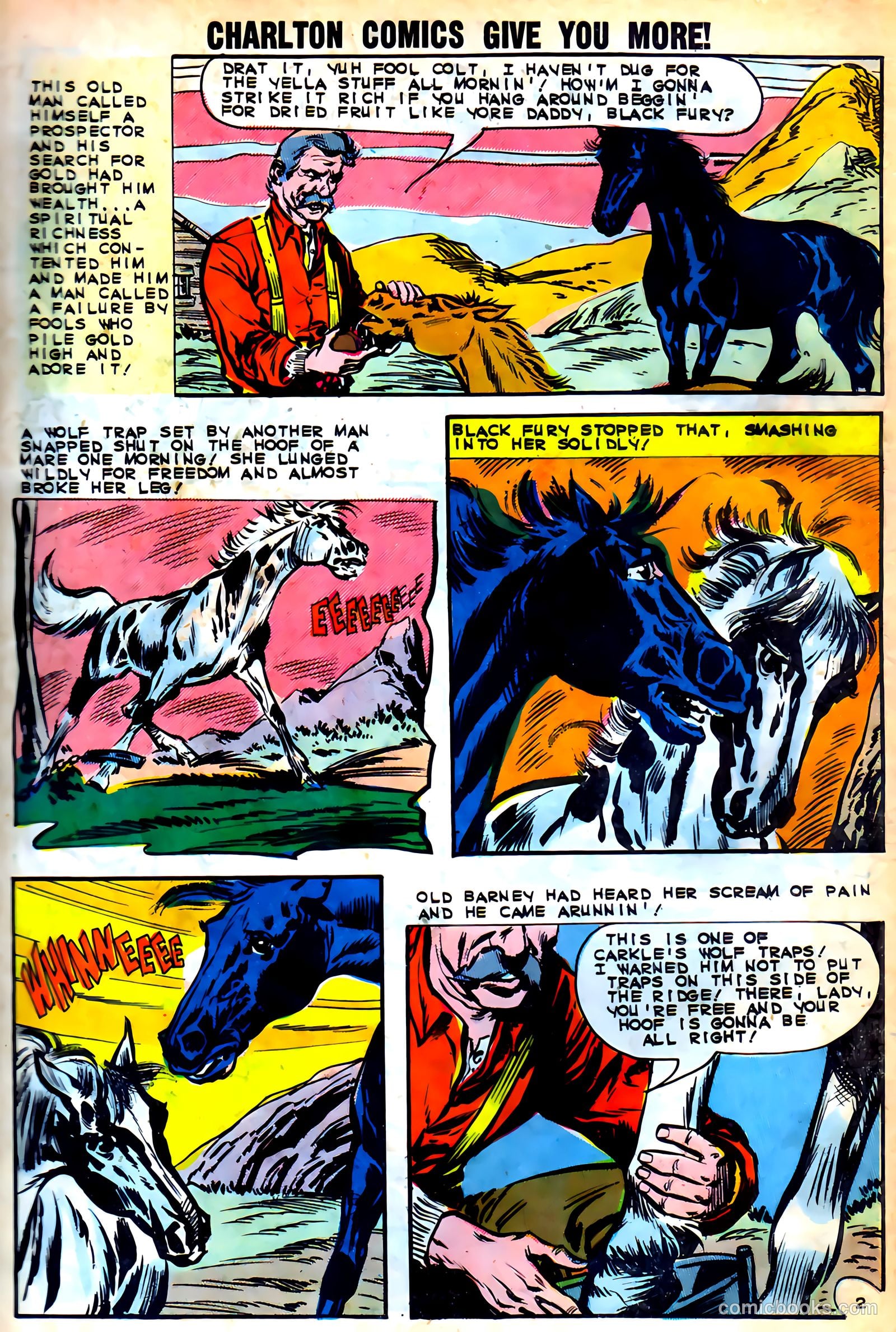 Black Fury #46 — page 11 of 37