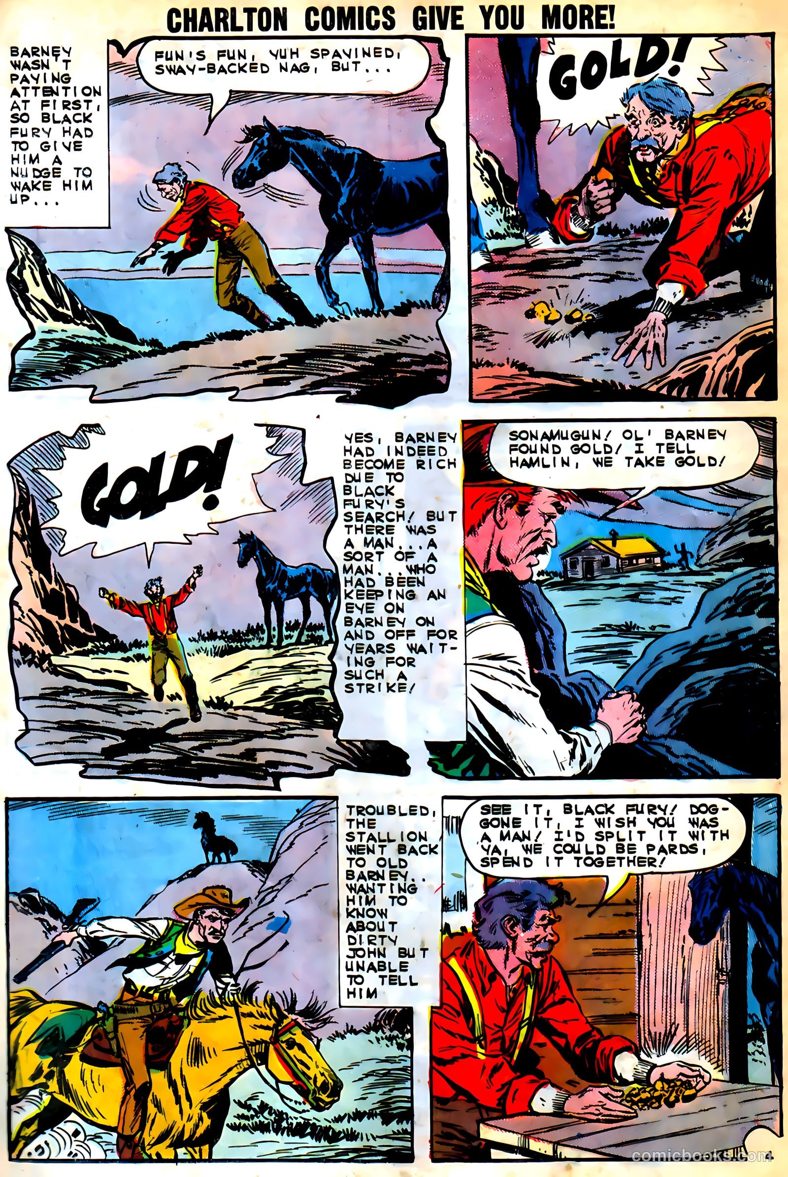 Black Fury #46 — page 13 of 37