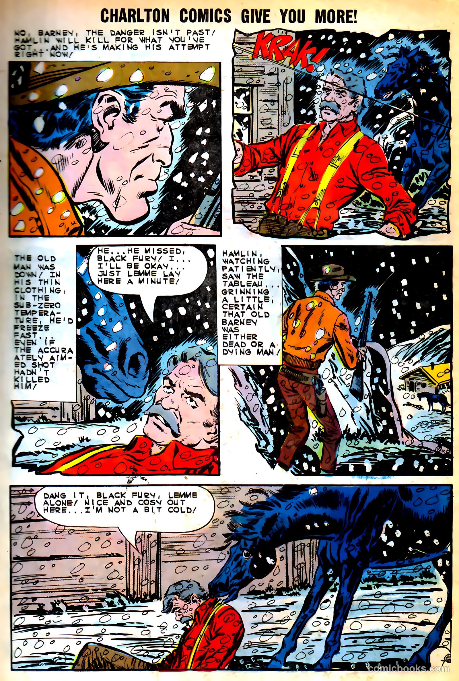 Black Fury #46 — page 17 of 37