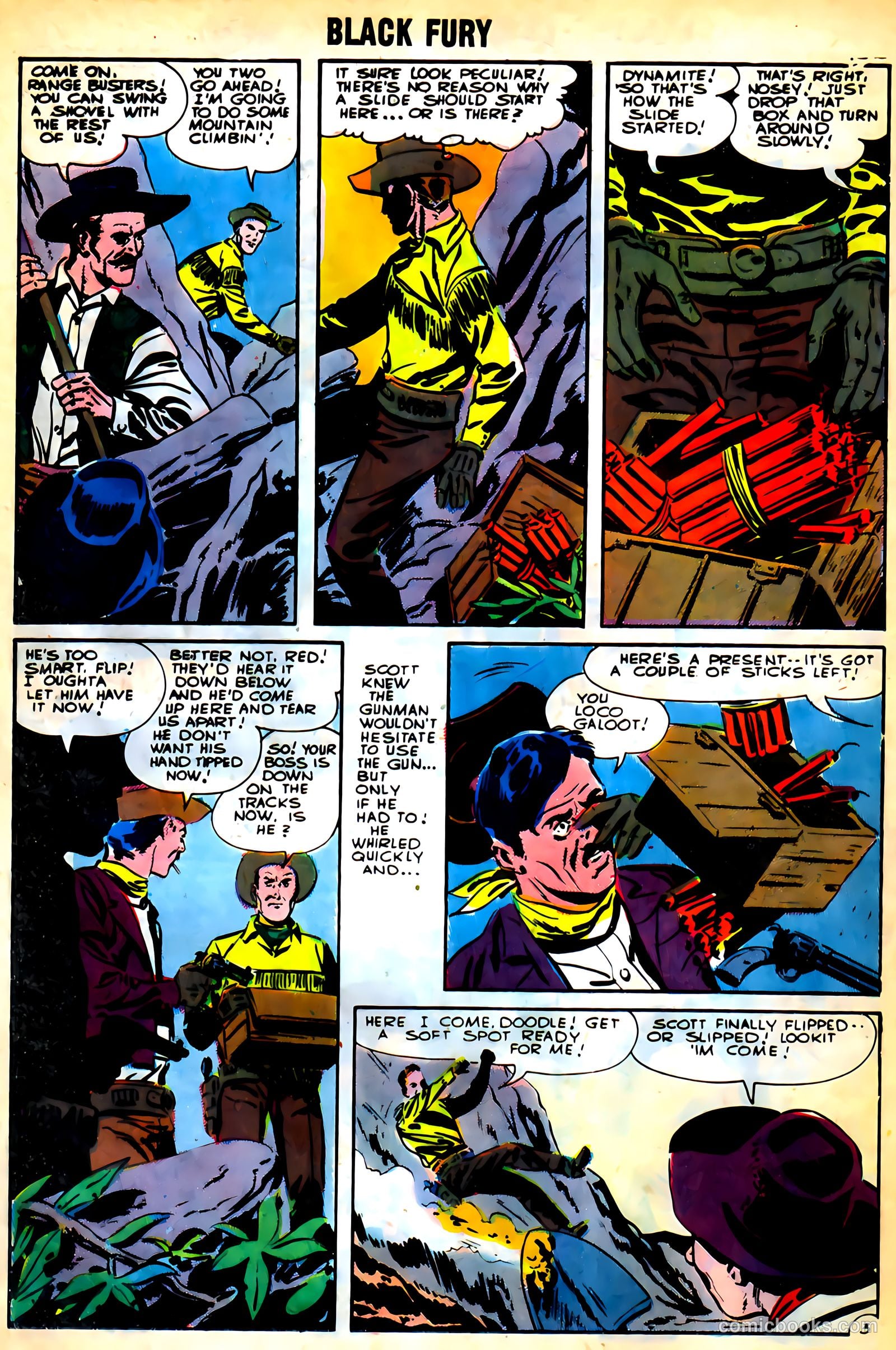Black Fury #46 — page 24 of 37