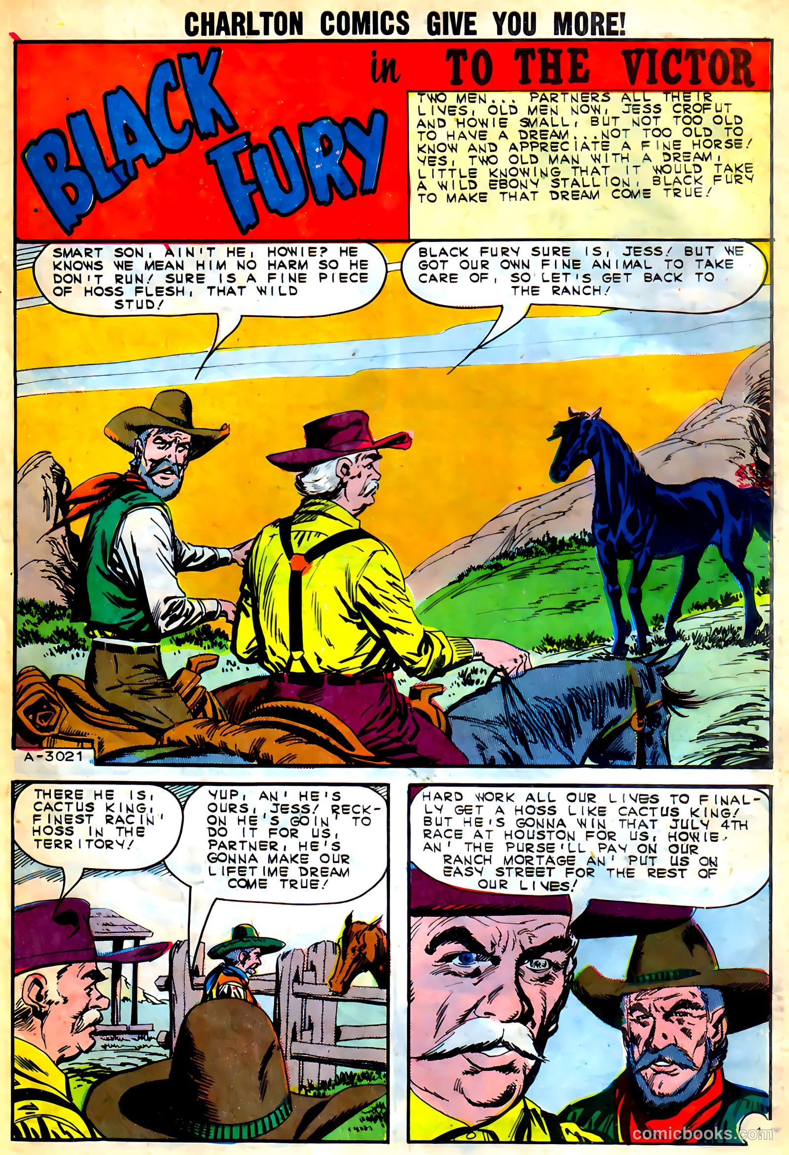 Black Fury #46 — page 27 of 37