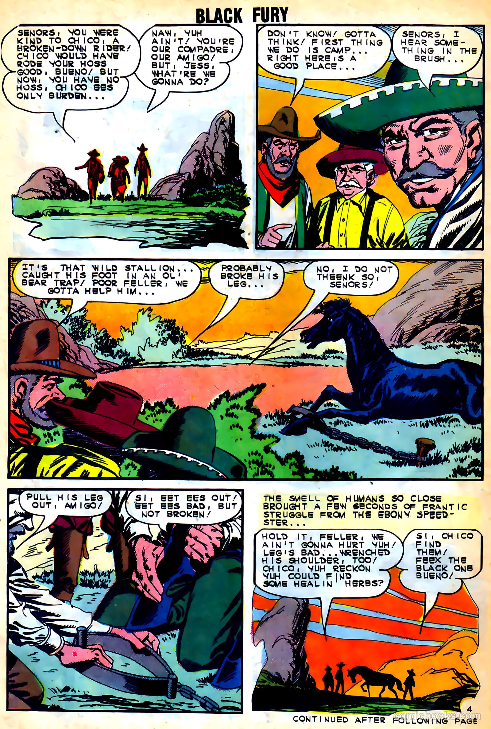 Black Fury #46 — page 30 of 37
