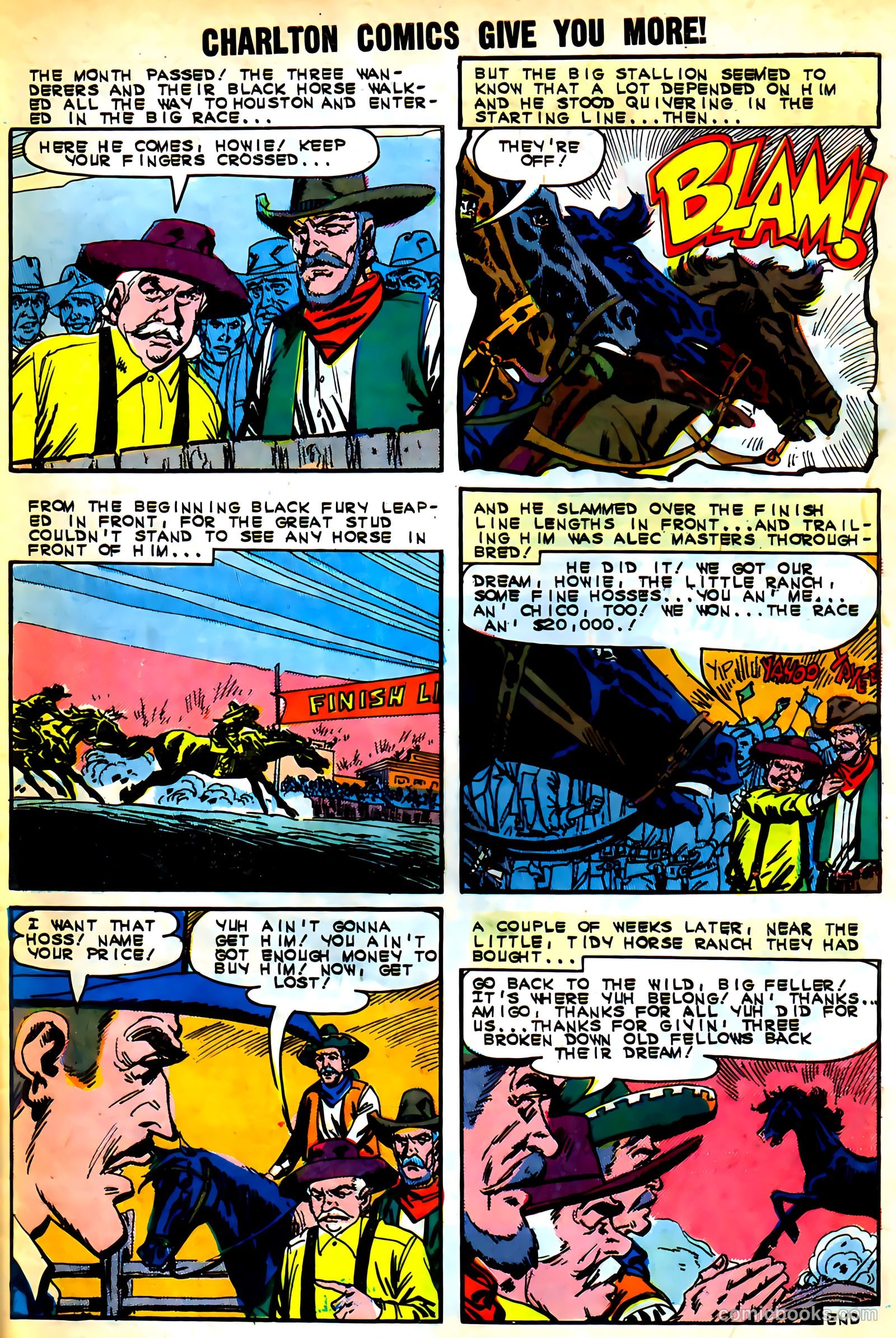 Black Fury #46 — page 33 of 37