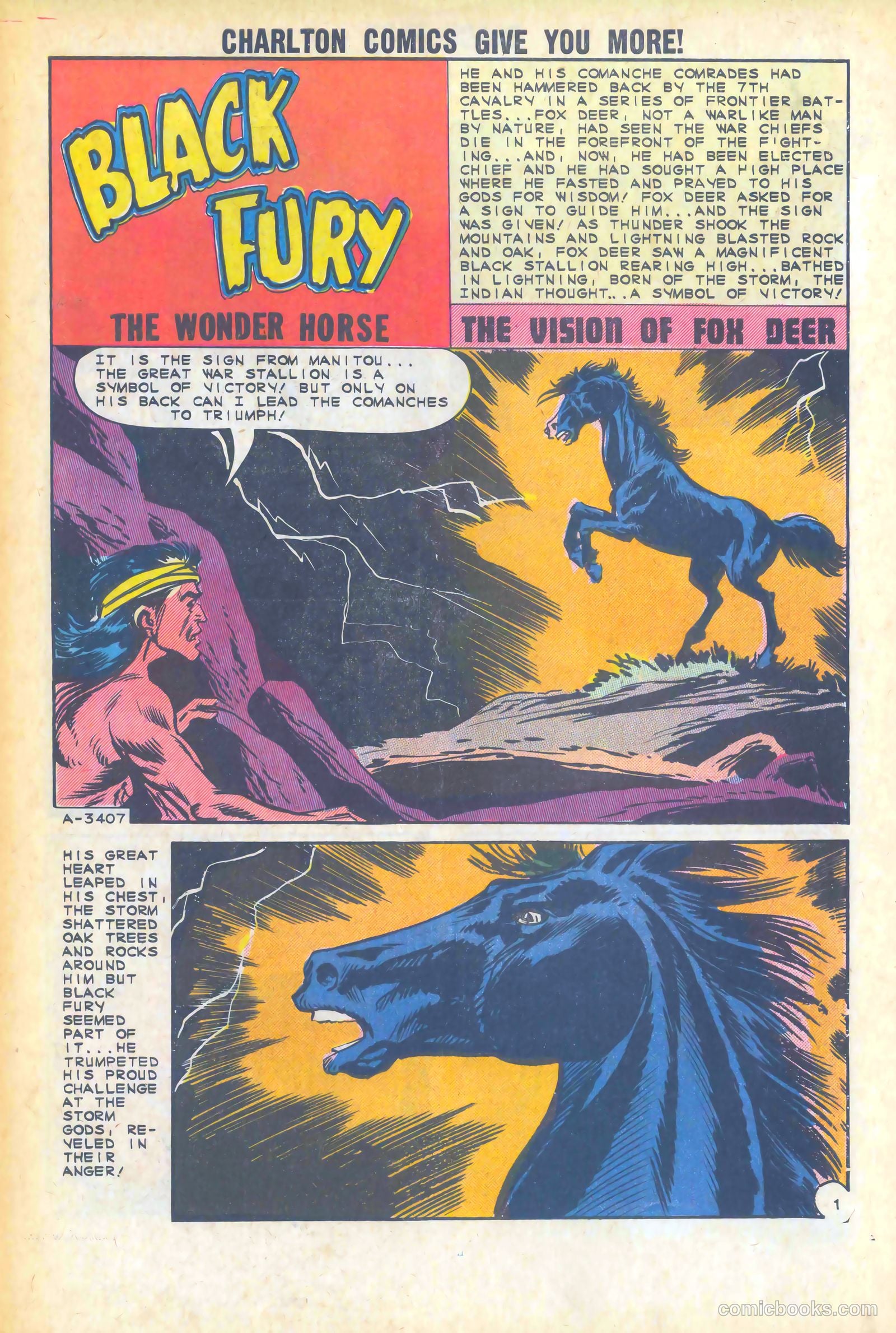 Black Fury #47 — page 3 of 36