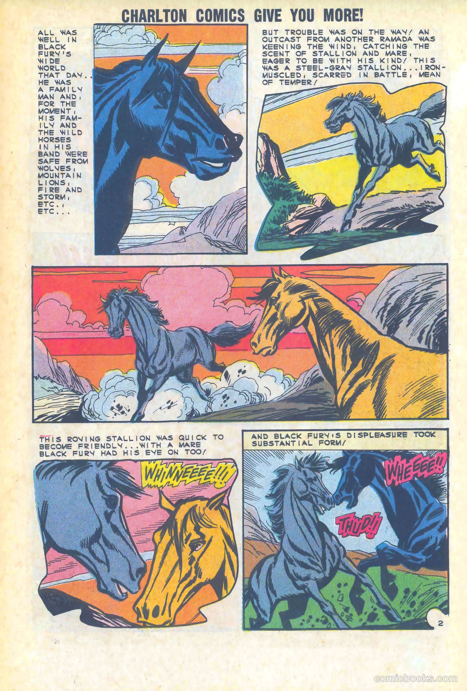 Black Fury #47 — page 11 of 36