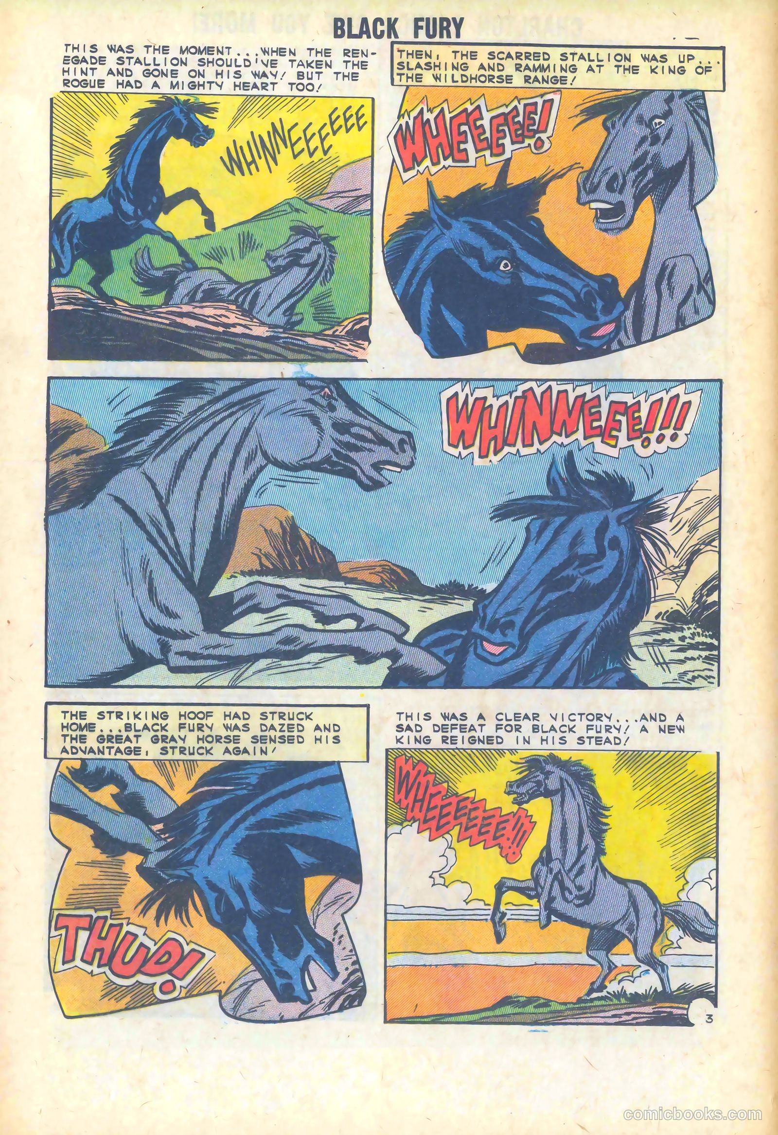 Black Fury #47 — page 12 of 36