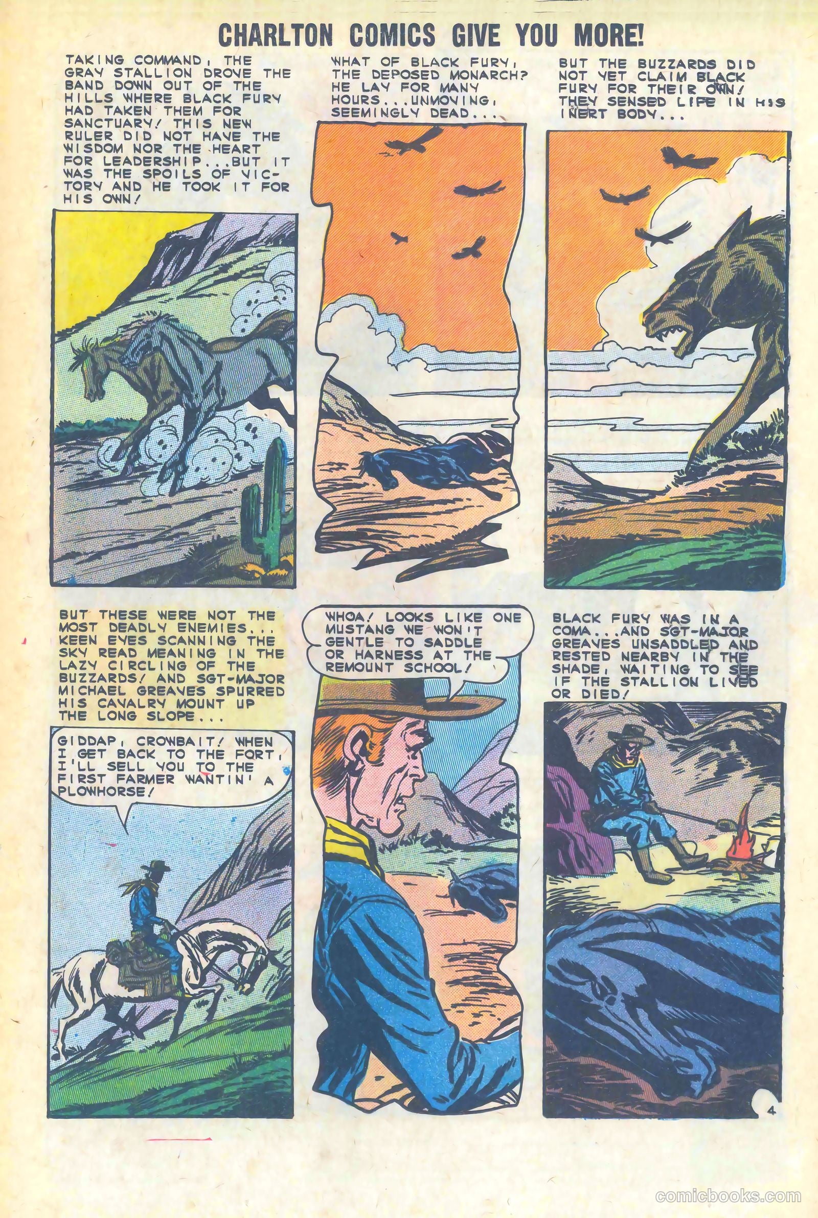 Black Fury #47 — page 13 of 36