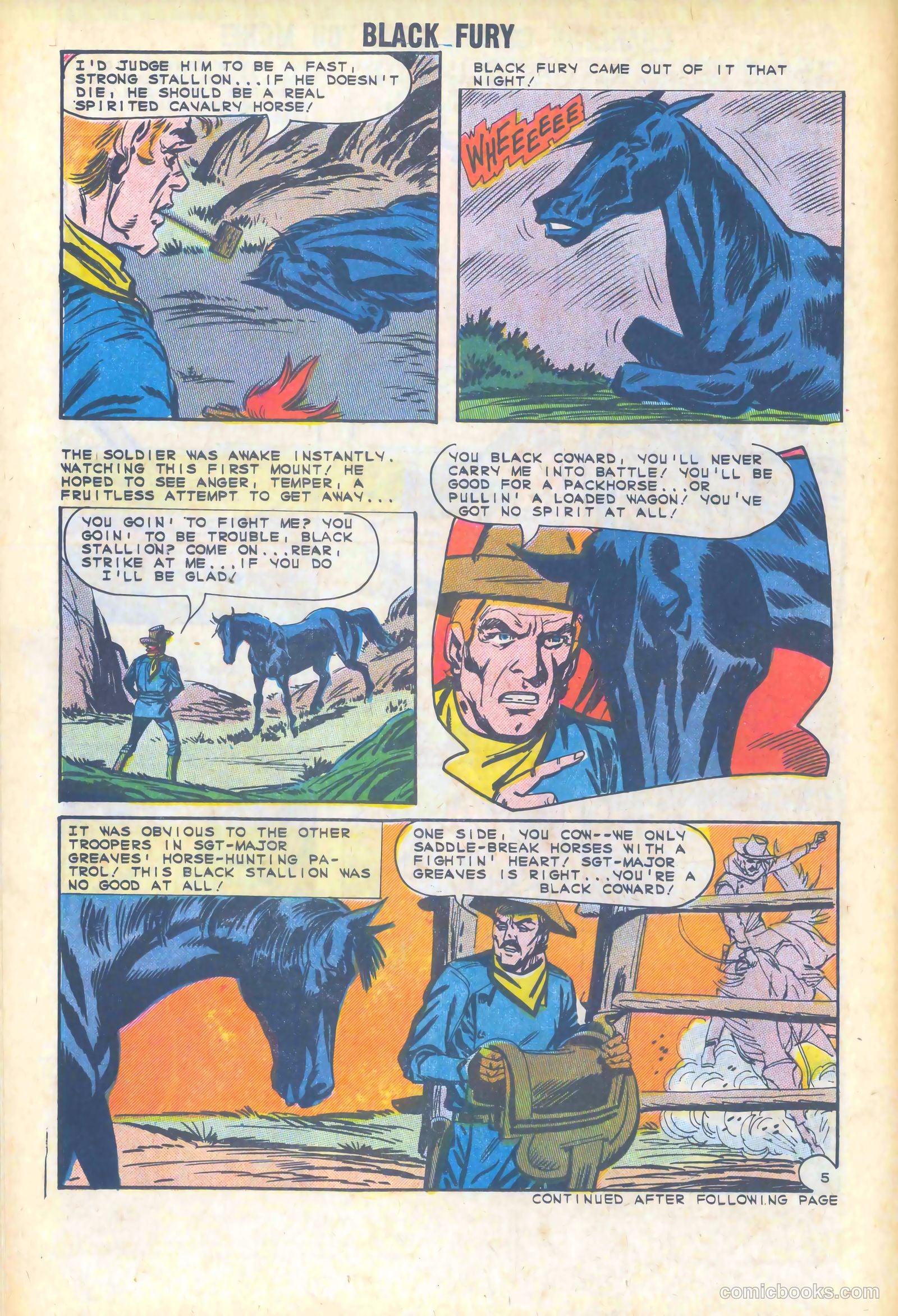 Black Fury #47 — page 14 of 36