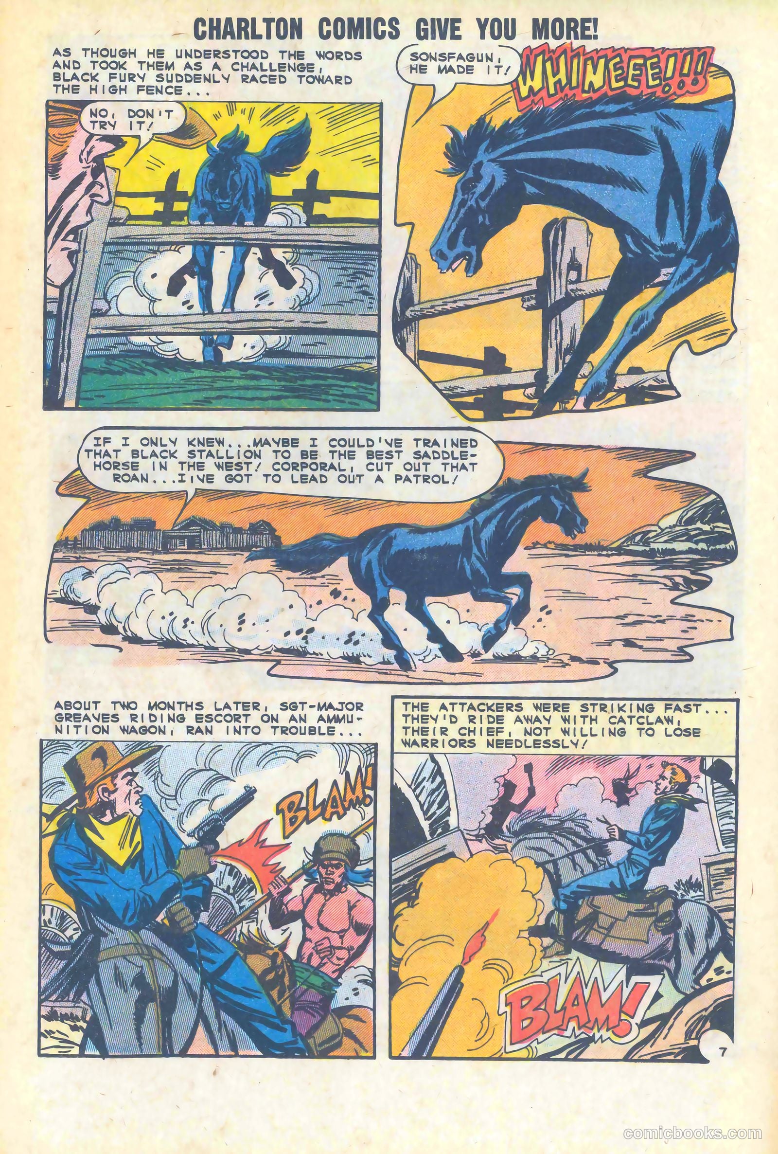 Black Fury #47 — page 17 of 36