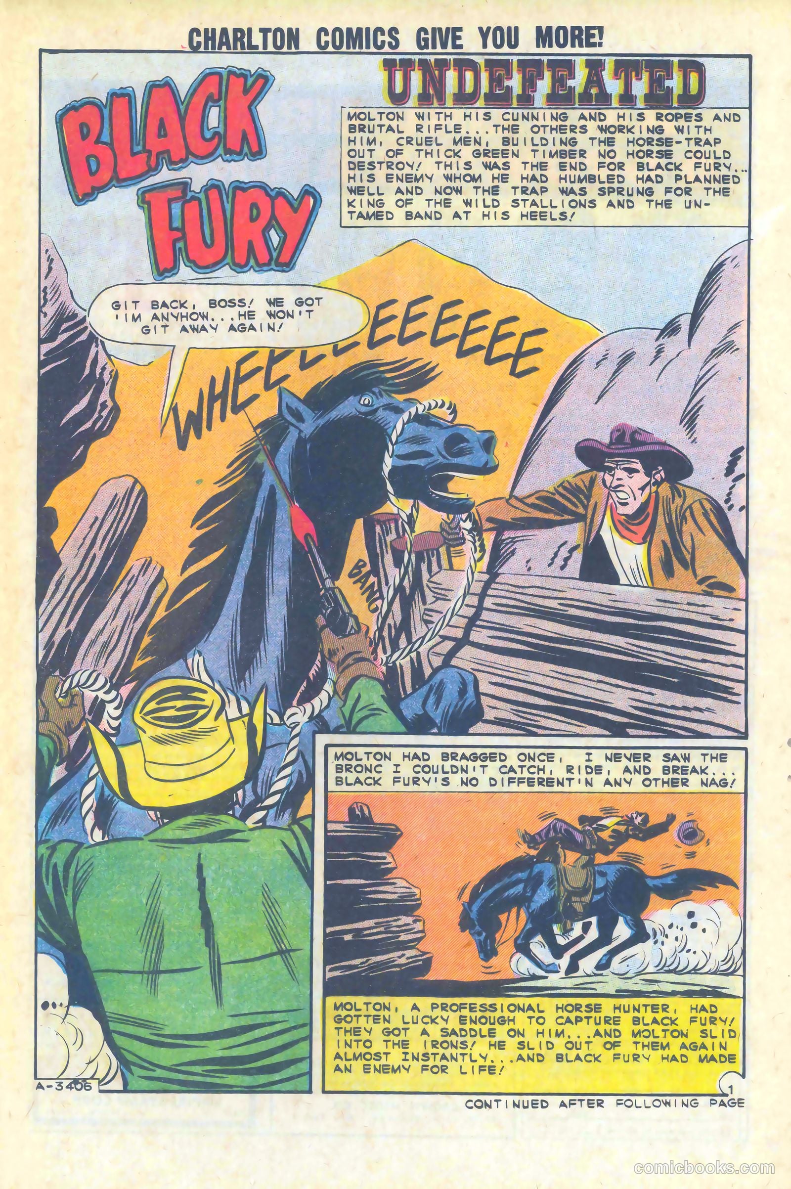 Black Fury #47 — page 21 of 36