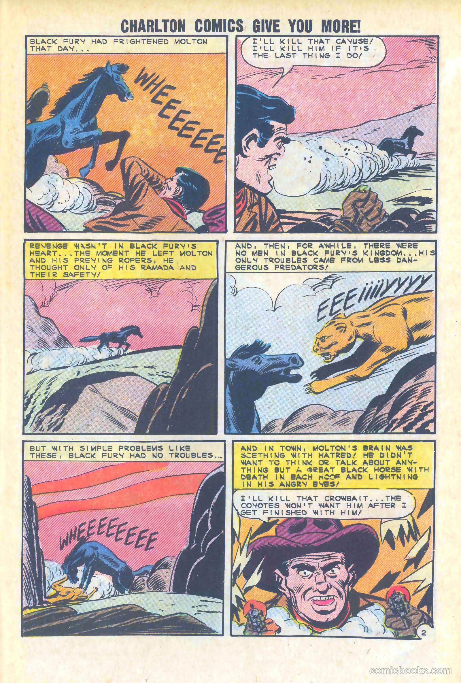 Black Fury #47 — page 23 of 36