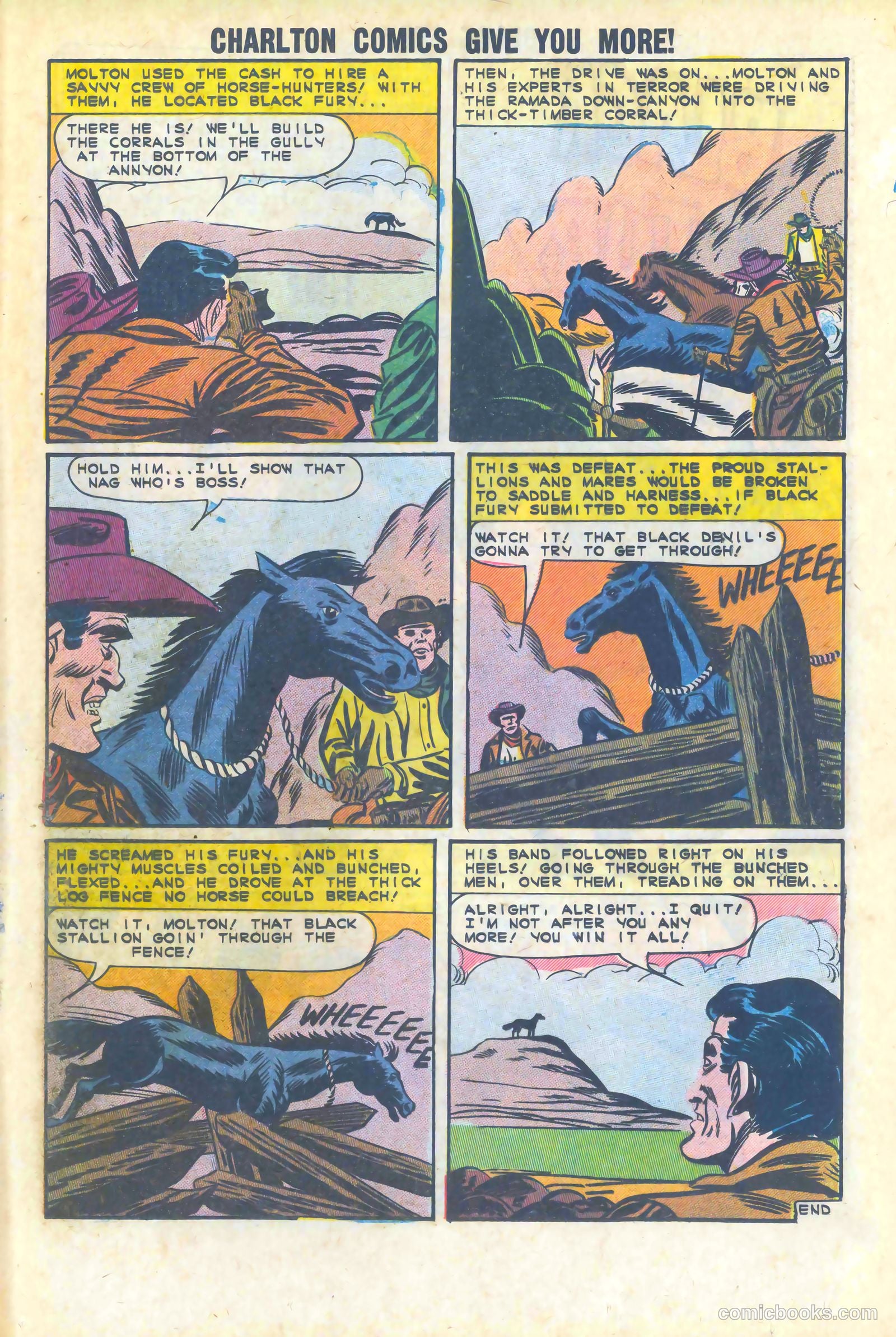 Black Fury #47 — page 25 of 36