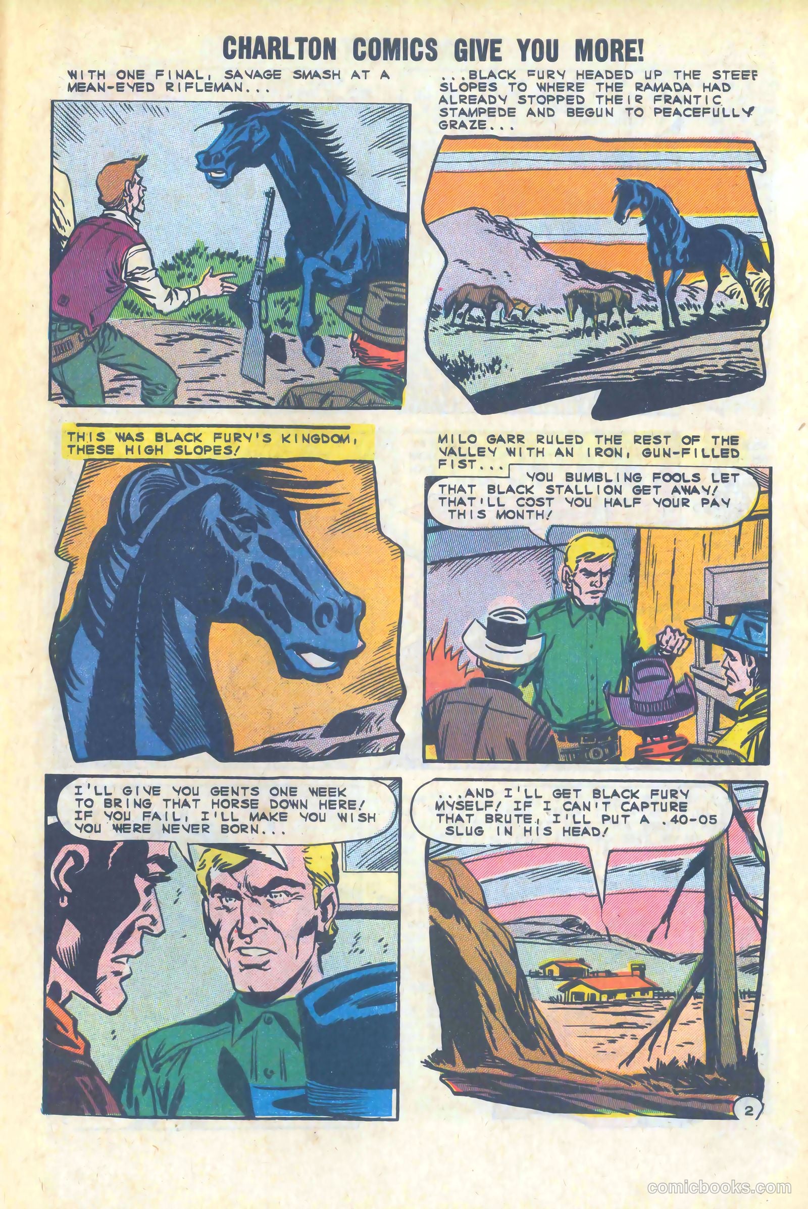Black Fury #47 — page 27 of 36