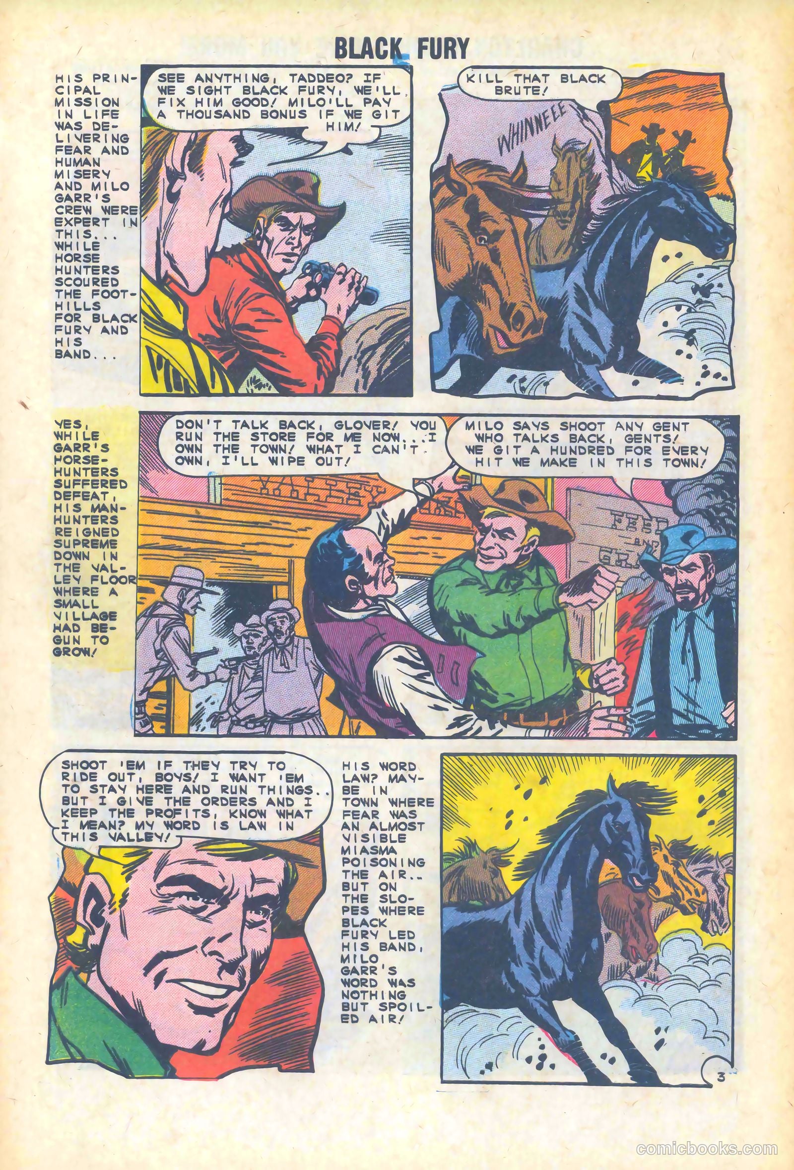 Black Fury #47 — page 28 of 36