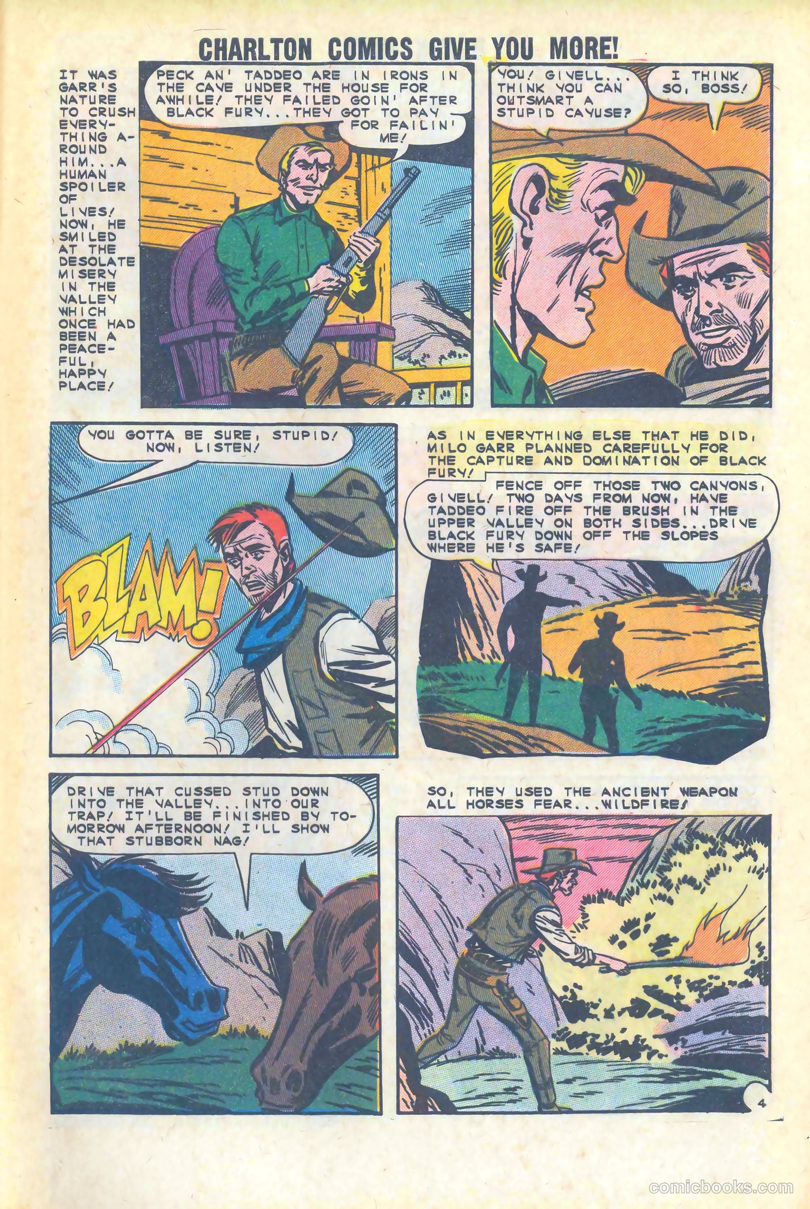 Black Fury #47 — page 29 of 36